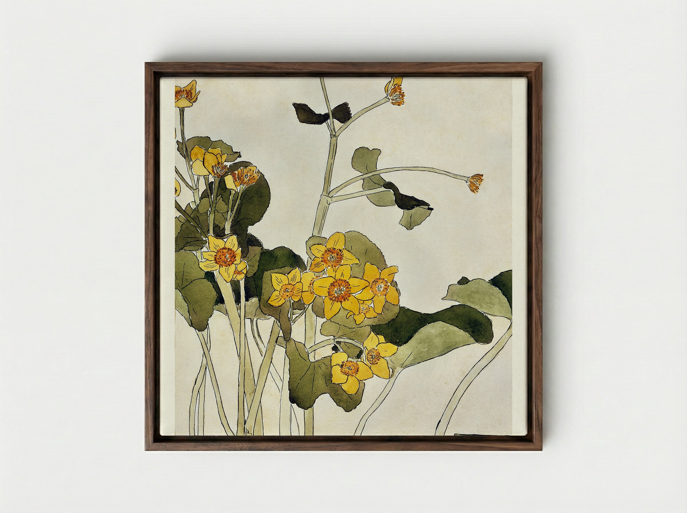 Marsh Marigold - Hannah Borger Overbeck - Framed Canvas Dark Wood