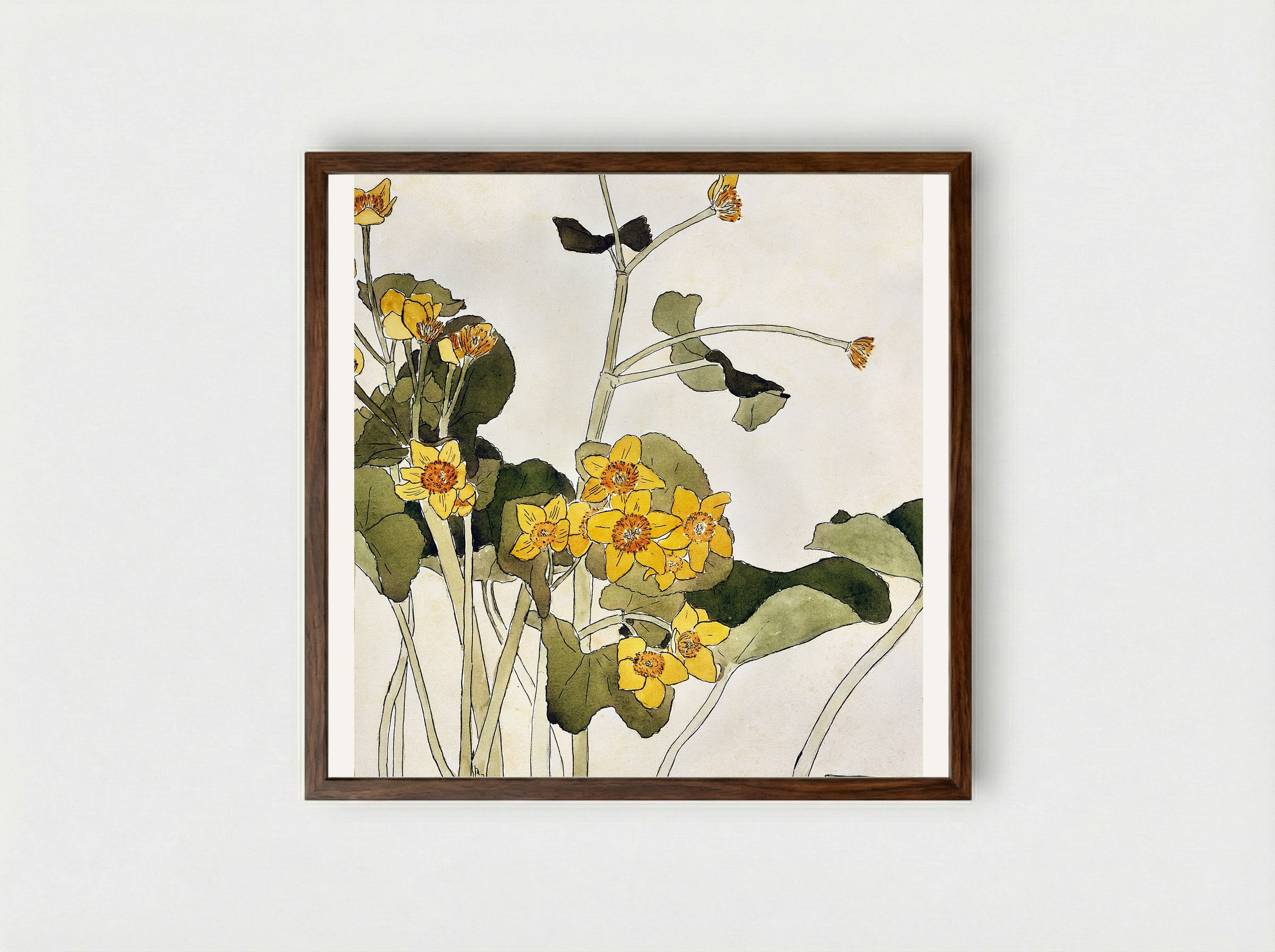 Marsh Marigold - Hannah Borger Overbeck - Framed Print Dark Wood