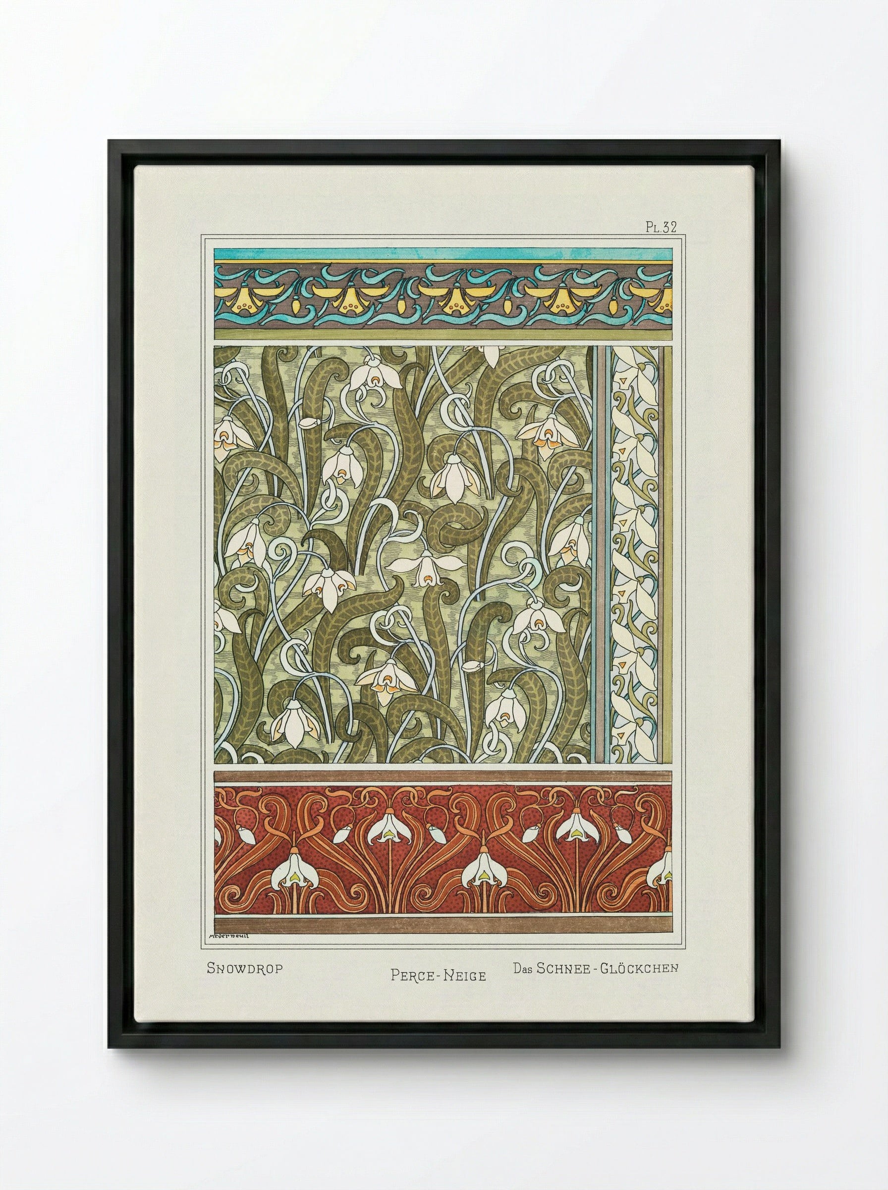 Perce-neige (Snowdrops) from La Plante et ses Applications ornementales - Maurice Pillard Verneuil - Framed Canvas Black