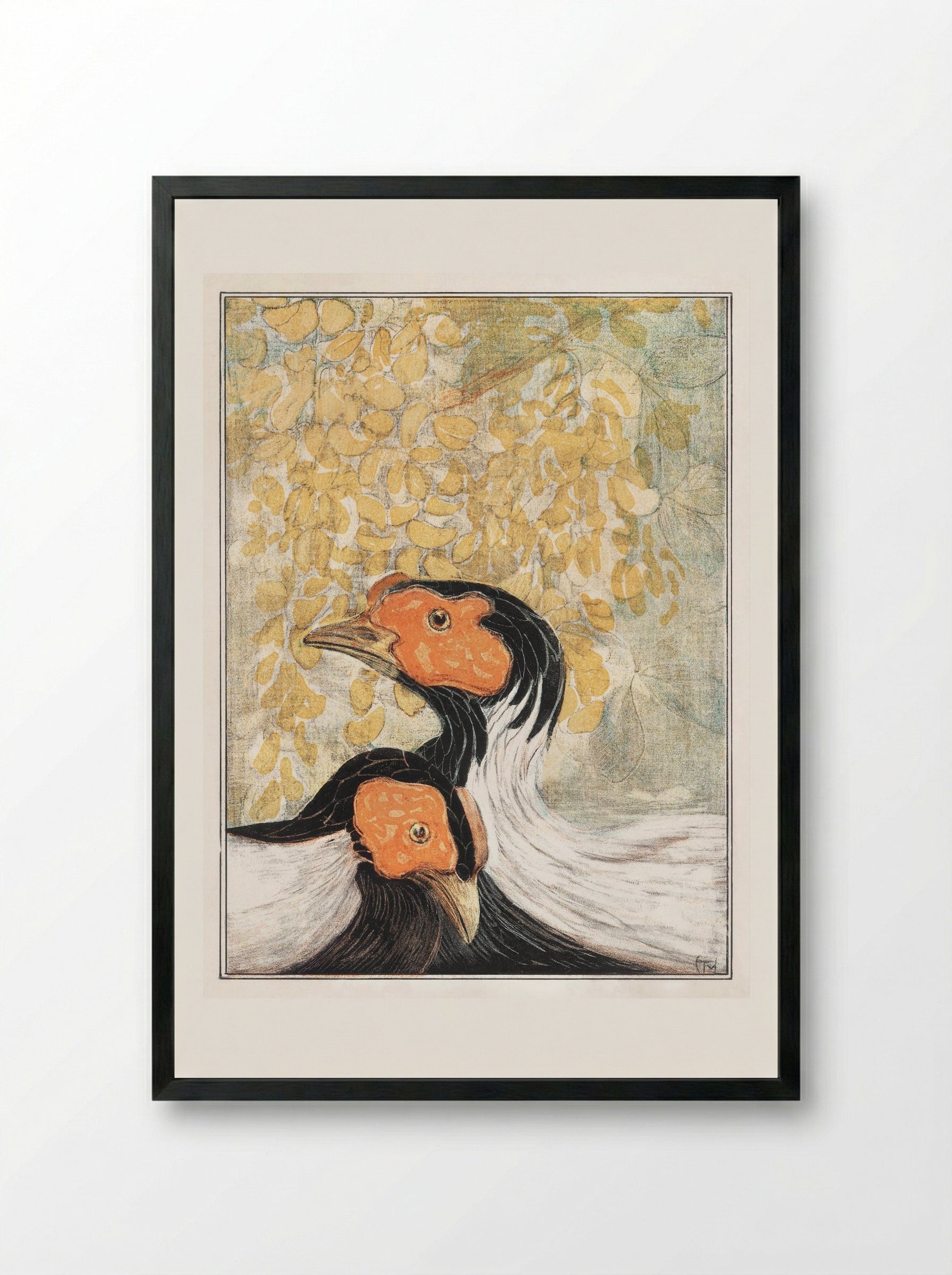Two Silver Pheasants - Theo van Hoytema - Framed Print Black