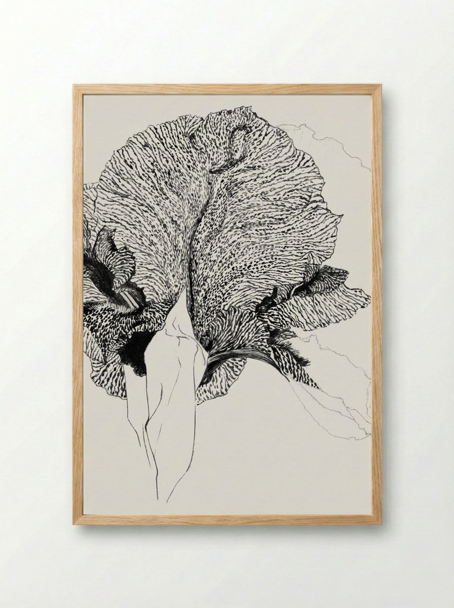 Iris - Julie de Graag - Framed Print Wood