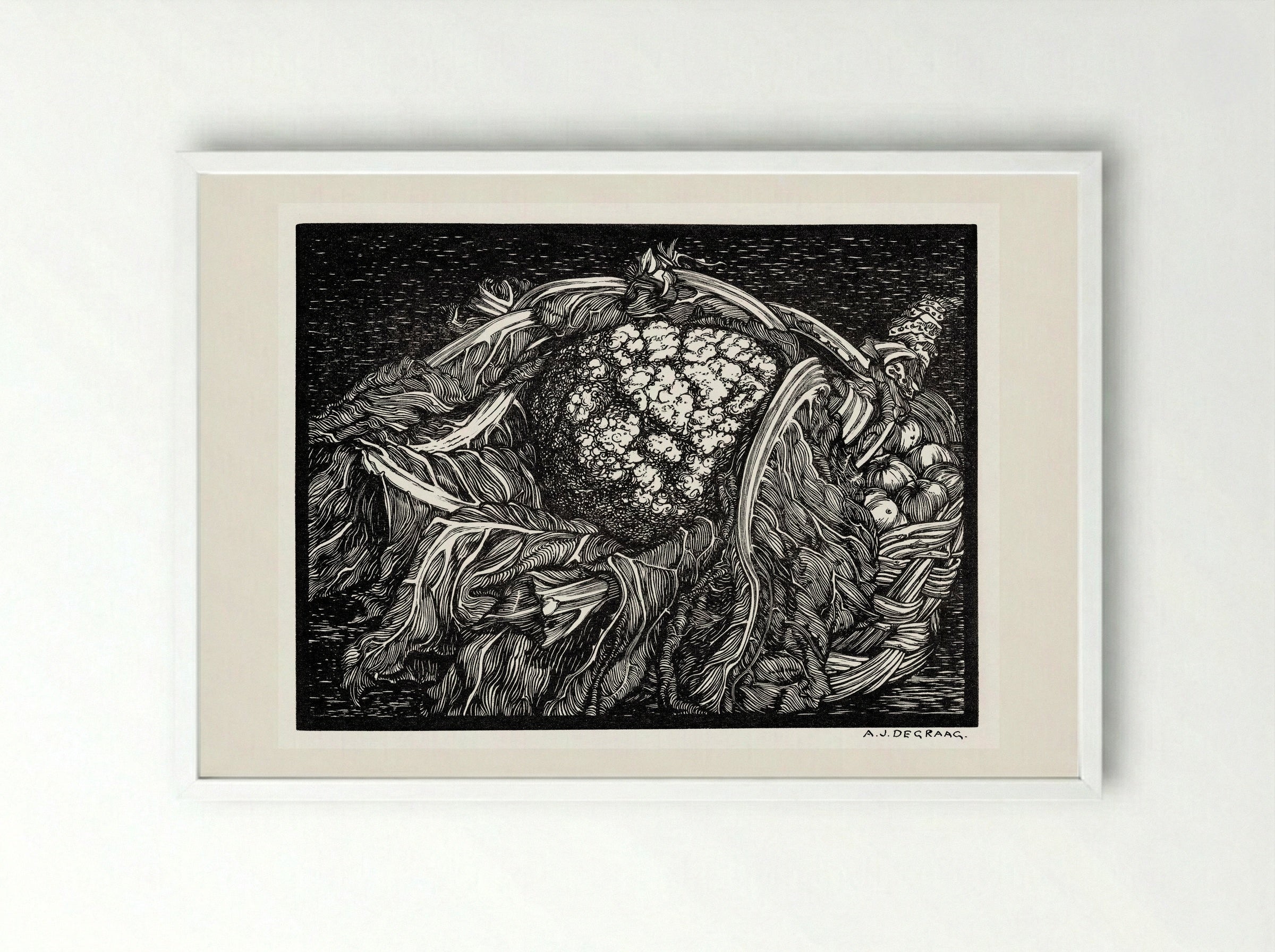 Cauliflower - Julie de Graag - Framed Print White