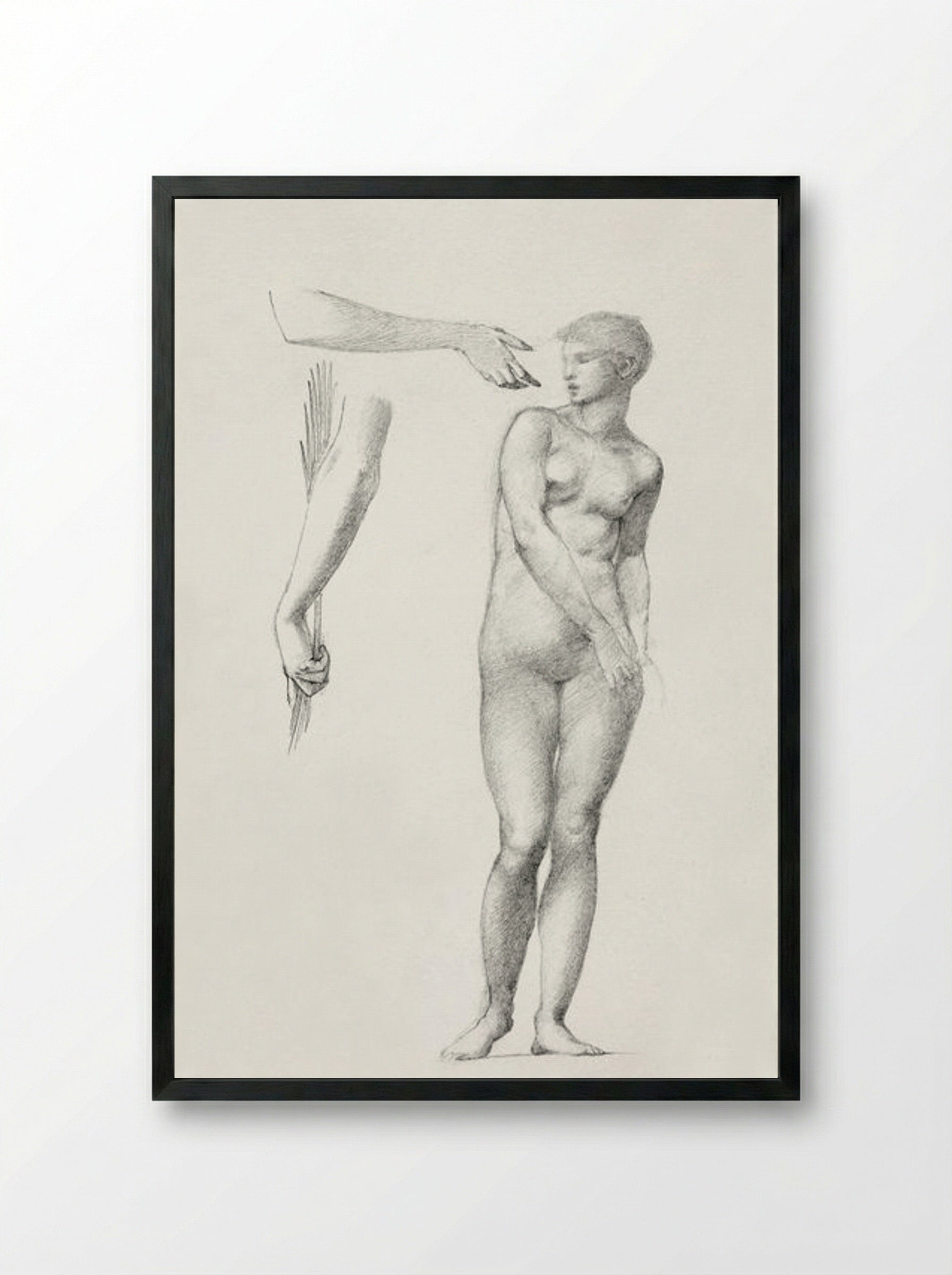 Standing Female Nude and Sketches of Arms - Edward Burne-Jones - Framed Print Black