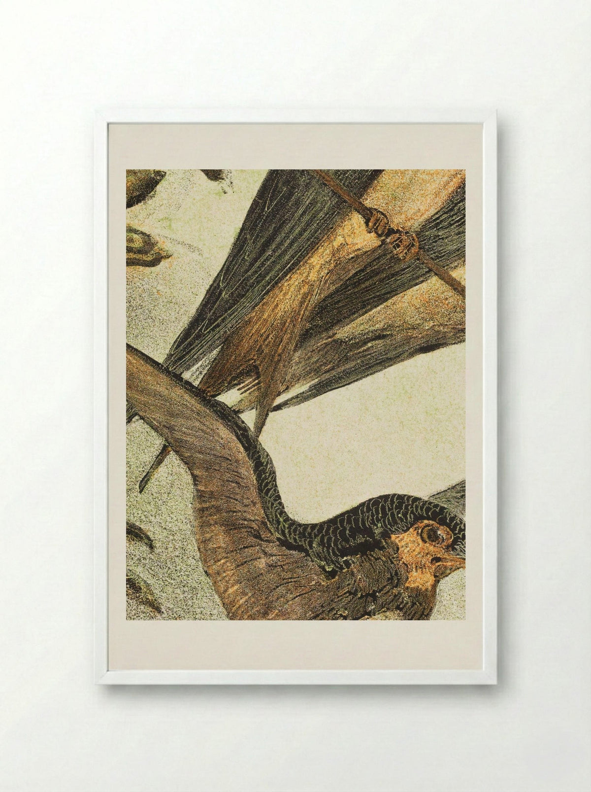 Drie zwaluwen (Three Swallows) - Theo van Hoytema - Framed Print White