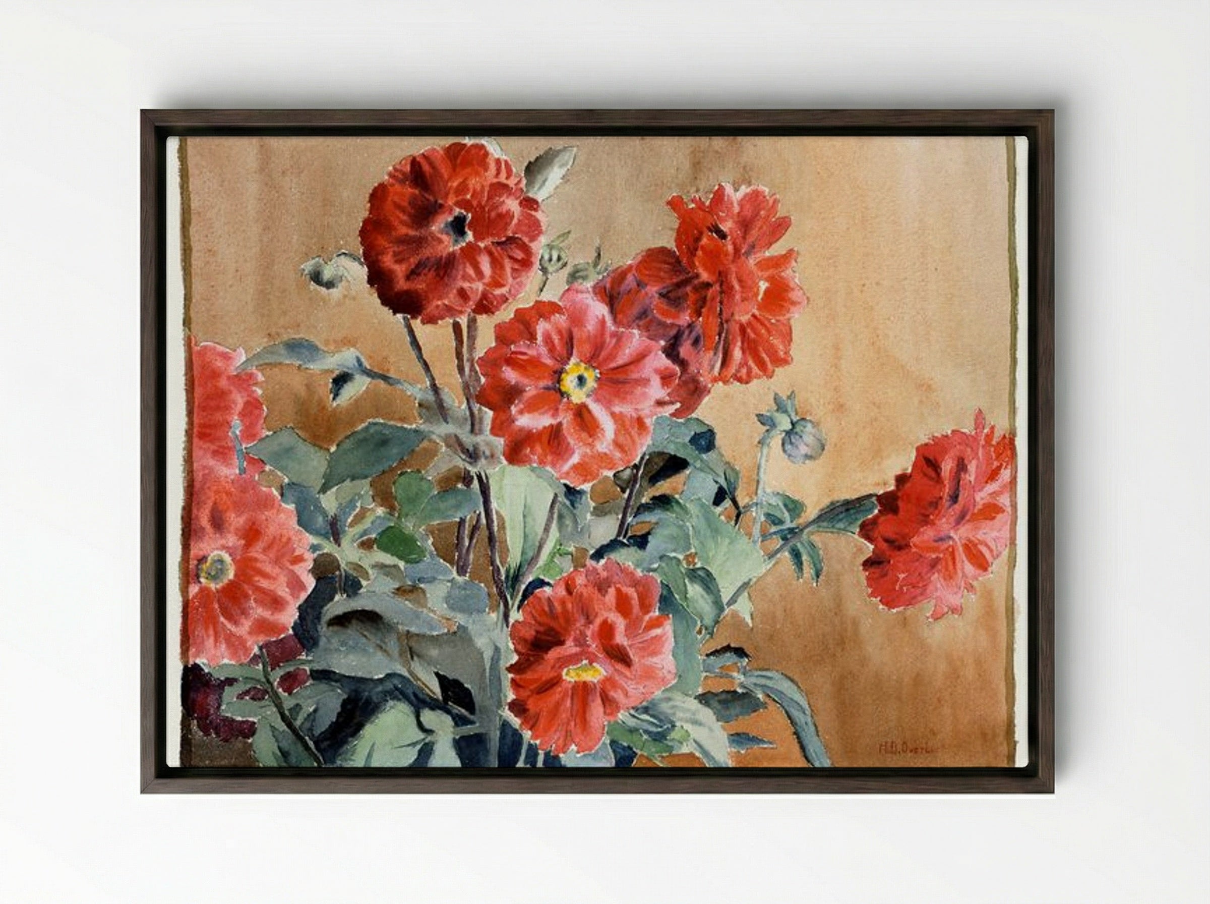 Dahlias - Hannah Borger Overbeck - Framed Canvas Dark Wood