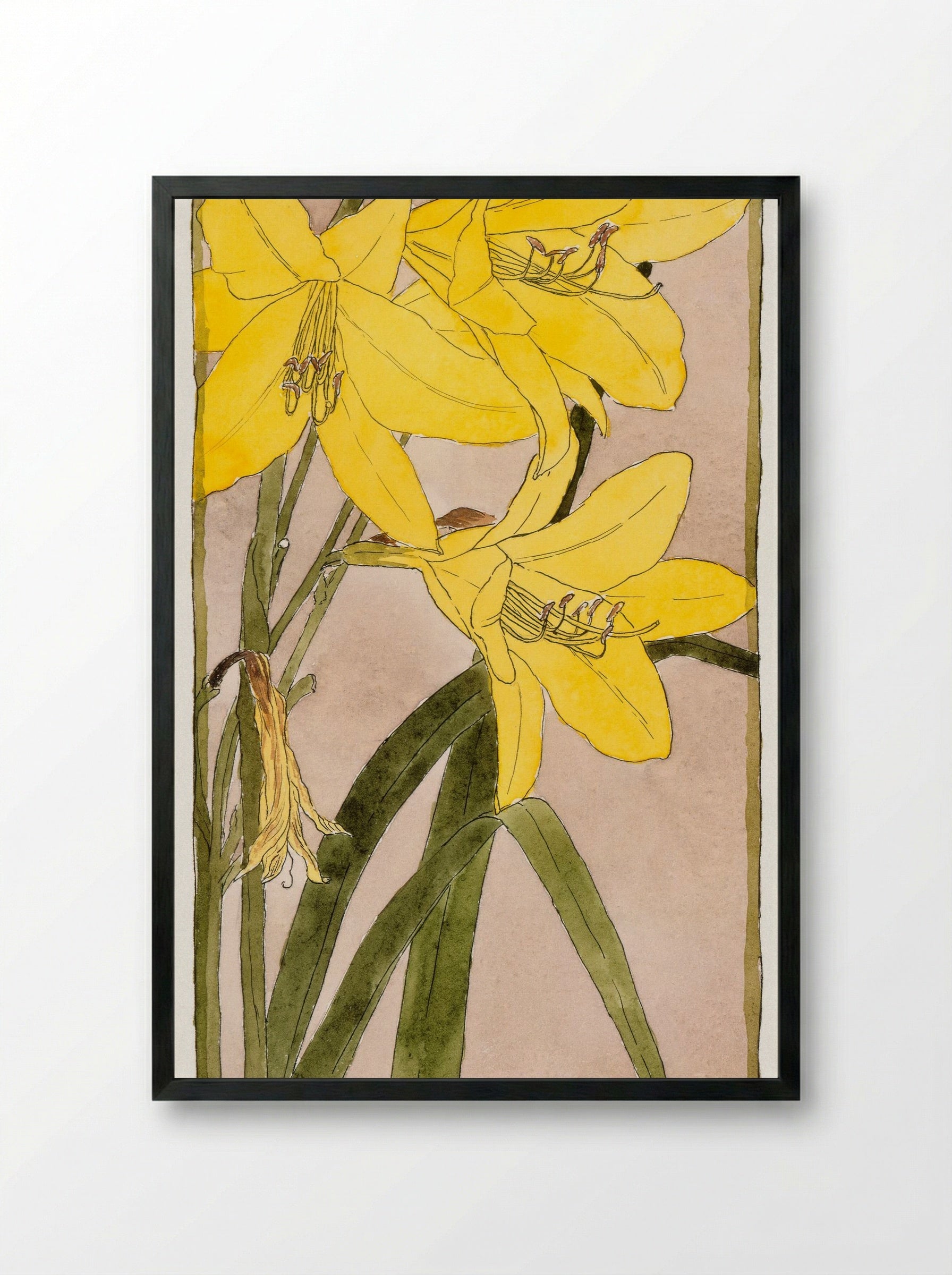 Yellow Daylily (1915) - Hannah Borger Overbeck - Framed Print Black