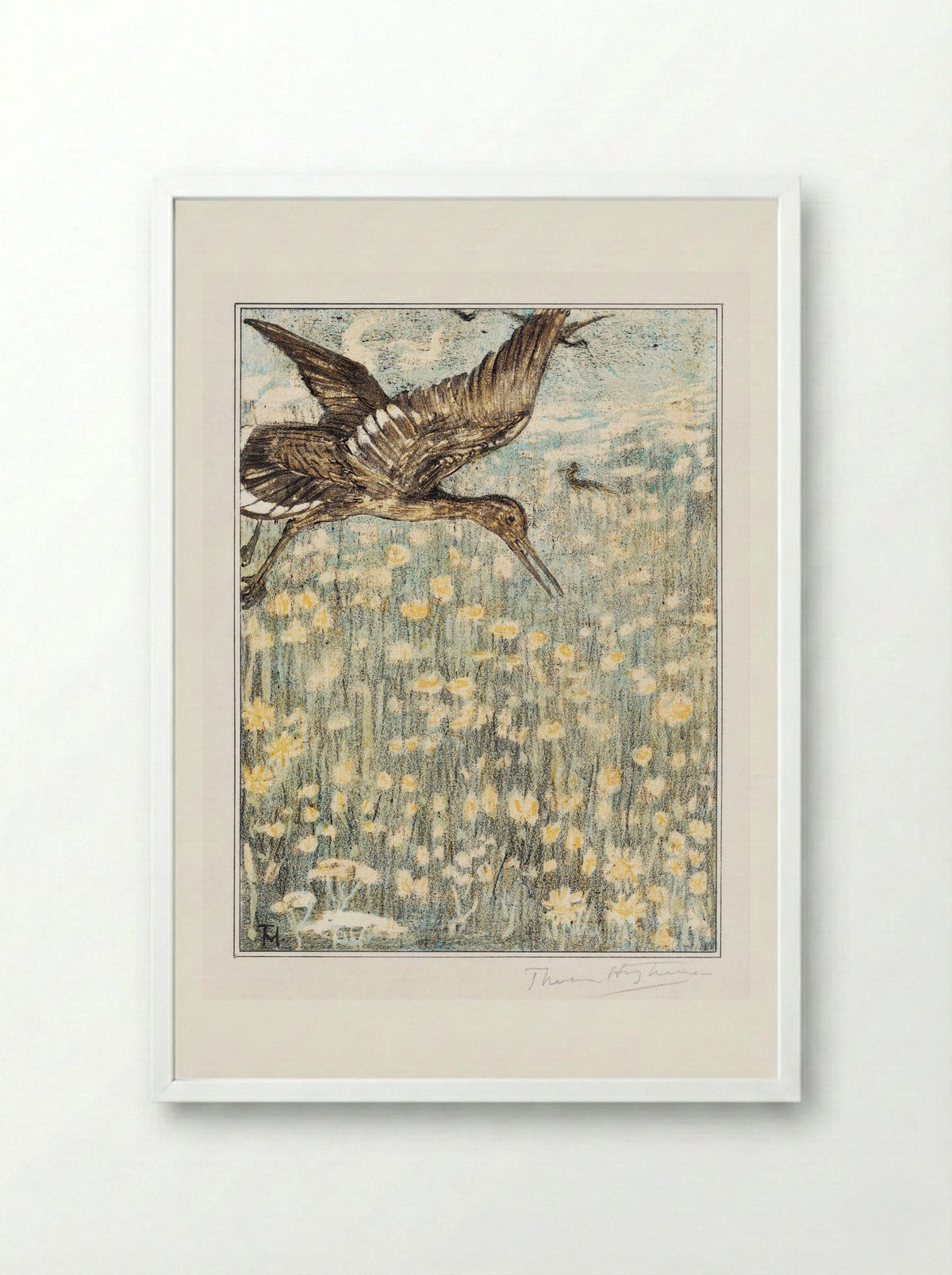 Tureluur (Redshank) - Theo van Hoytema - Framed Print White