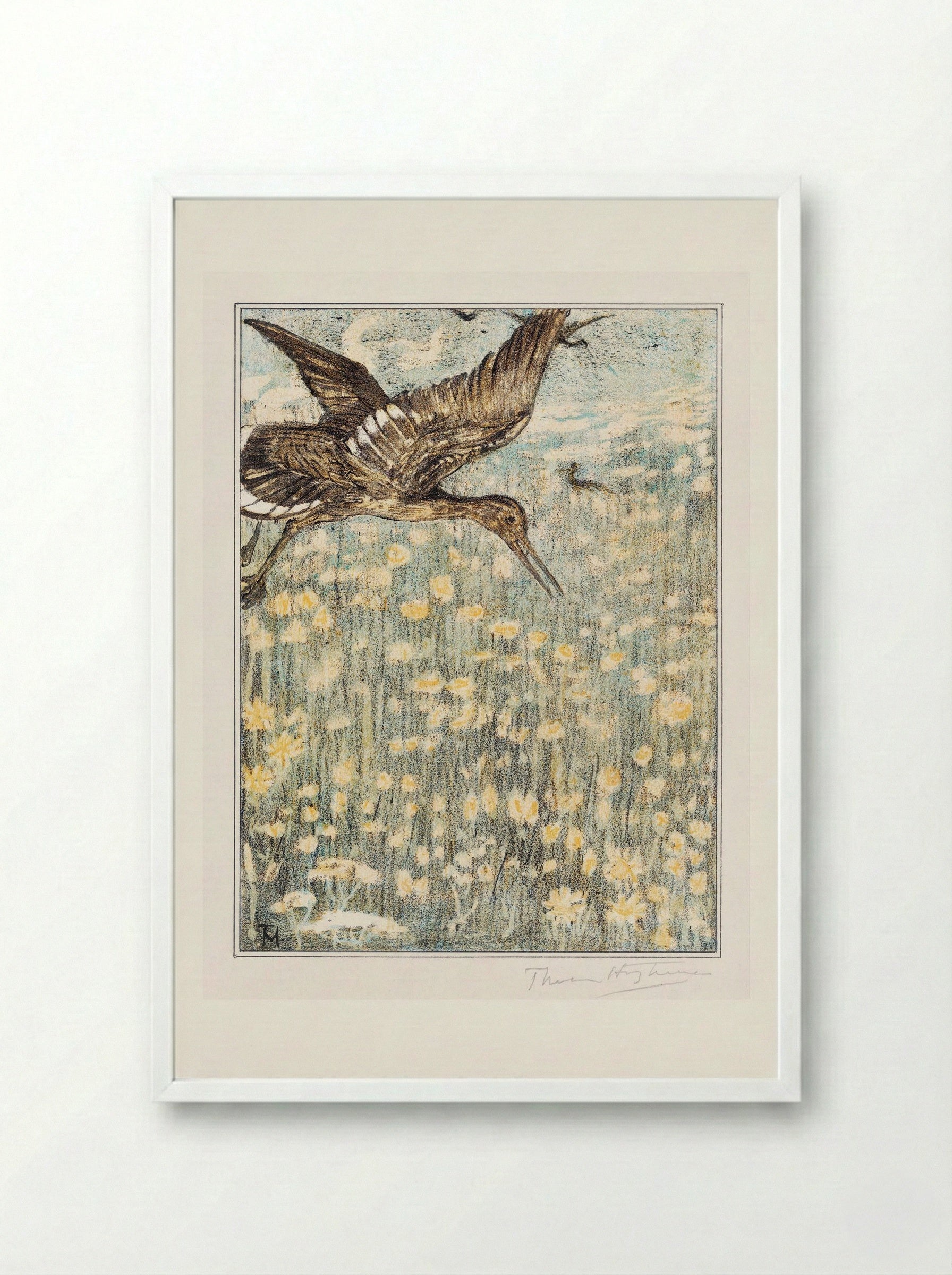 Tureluur (Redshank) - Theo van Hoytema - Framed Print White