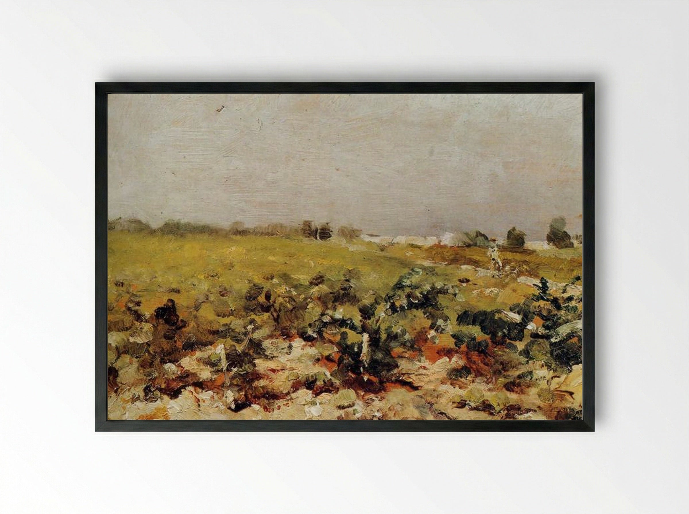 Céleyran, View of the Vineyards - Henri de Toulouse-Lautrec - Framed Print Black