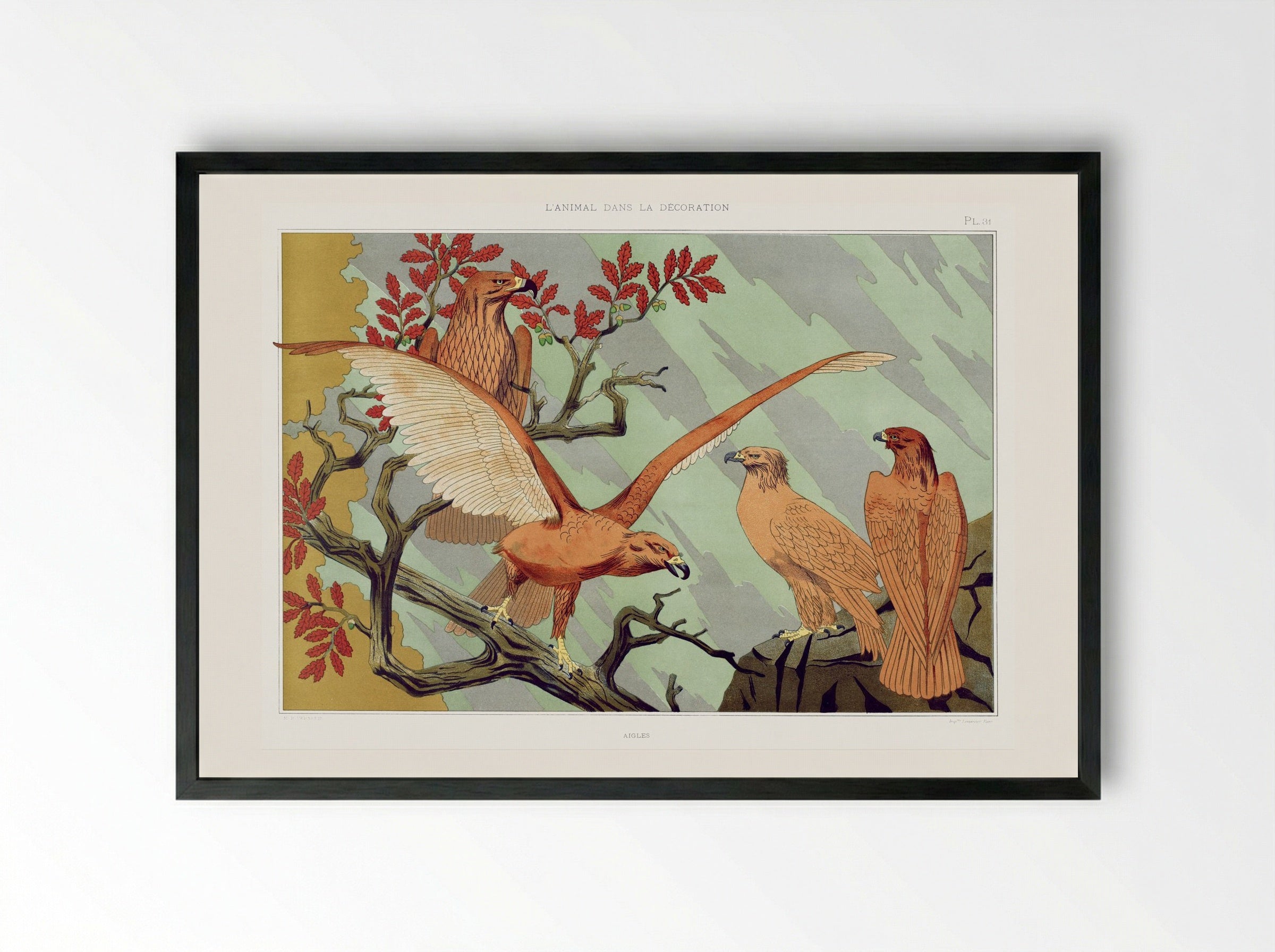 Aigles (Eagles) from L'animal dans la décoration - Maurice Pillard Verneuil - Framed Print Black
