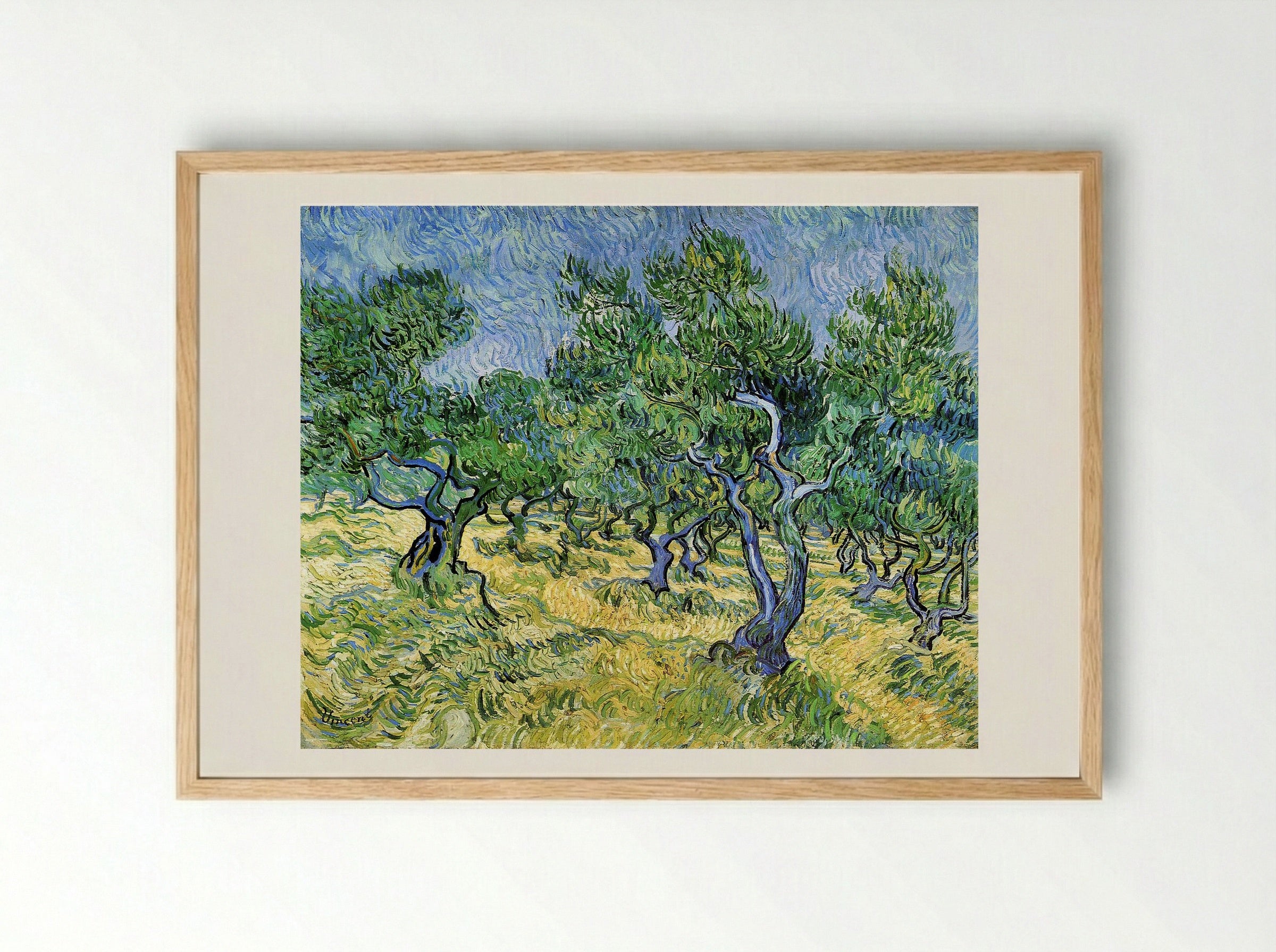 Olive Grove - Vincent van Gogh - Framed Print Wood