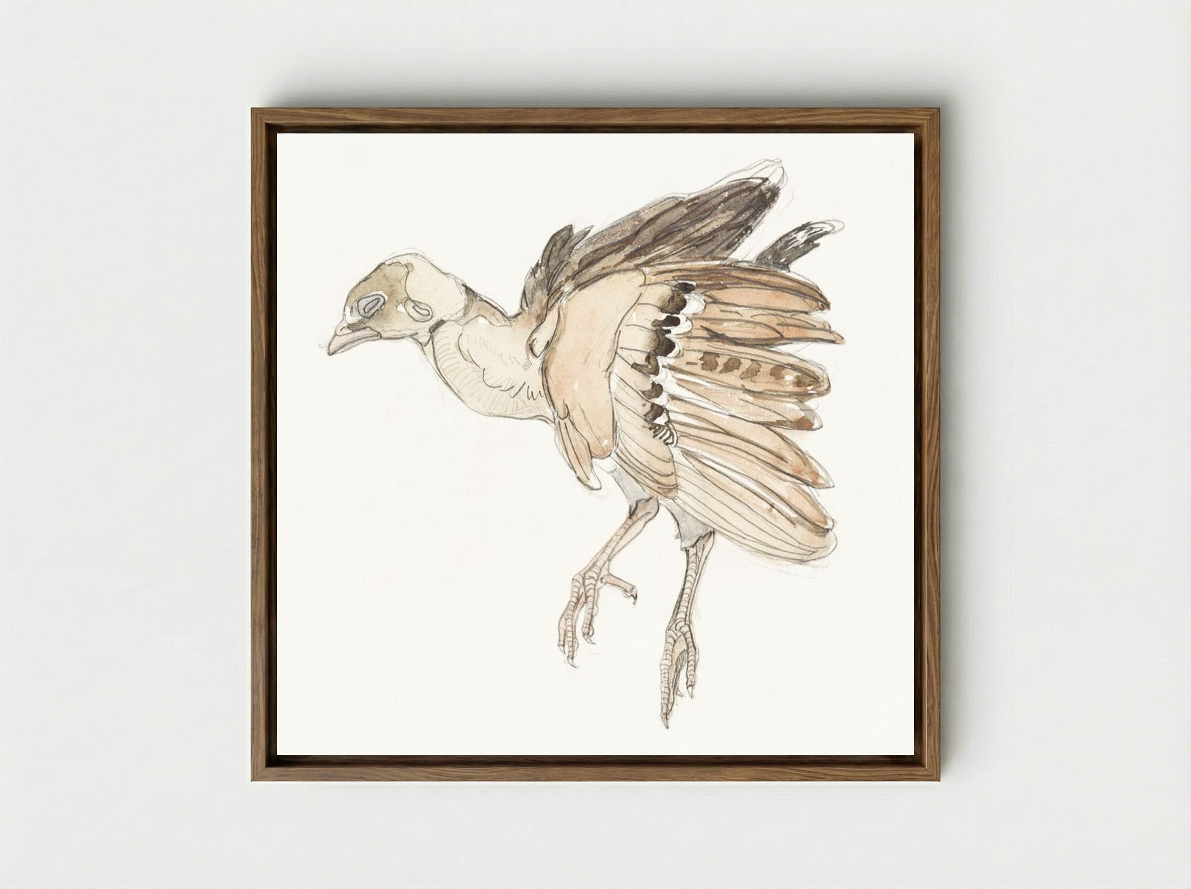 Dood vogeltje (Patrijs) - Theo van Hoytema - Framed Canvas Wood