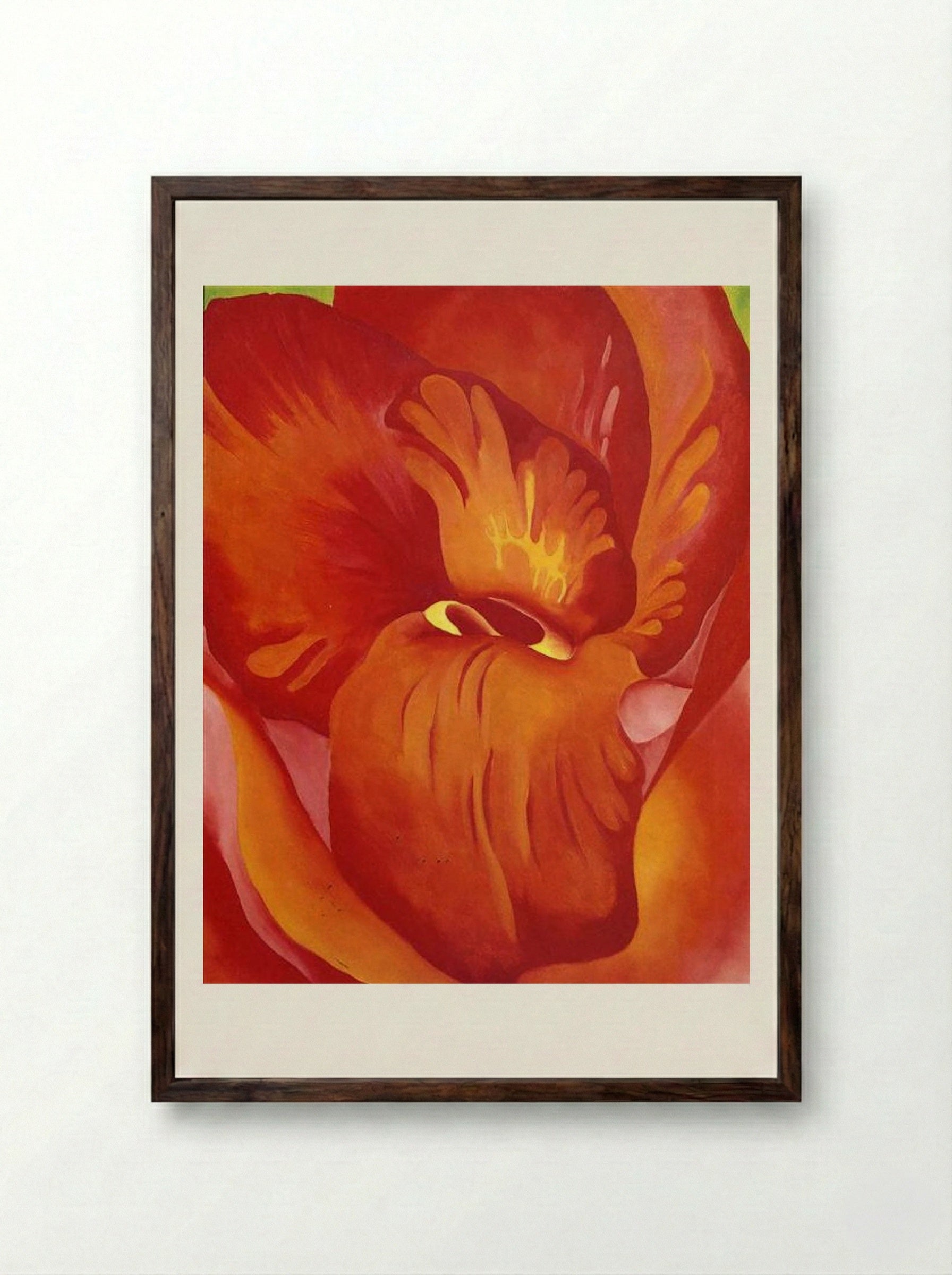 Canna Red and Orange - Georgia O'Keeffe - Framed Print Dark Wood