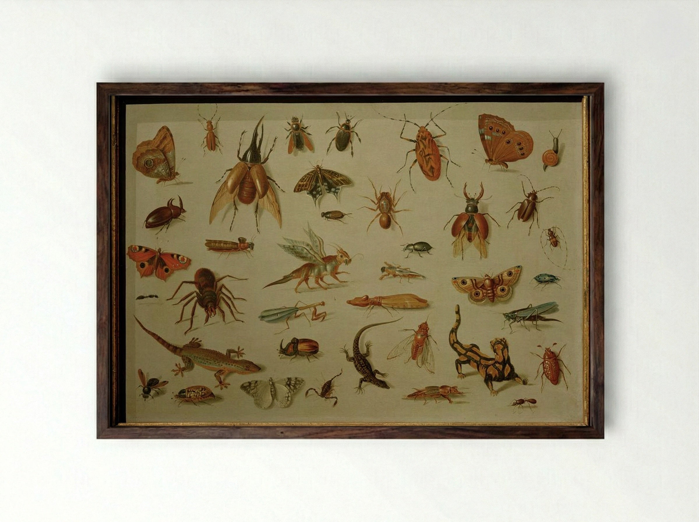 Insects and Reptiles - Jan van Kessel the Elder - Framed Print Dark Wood