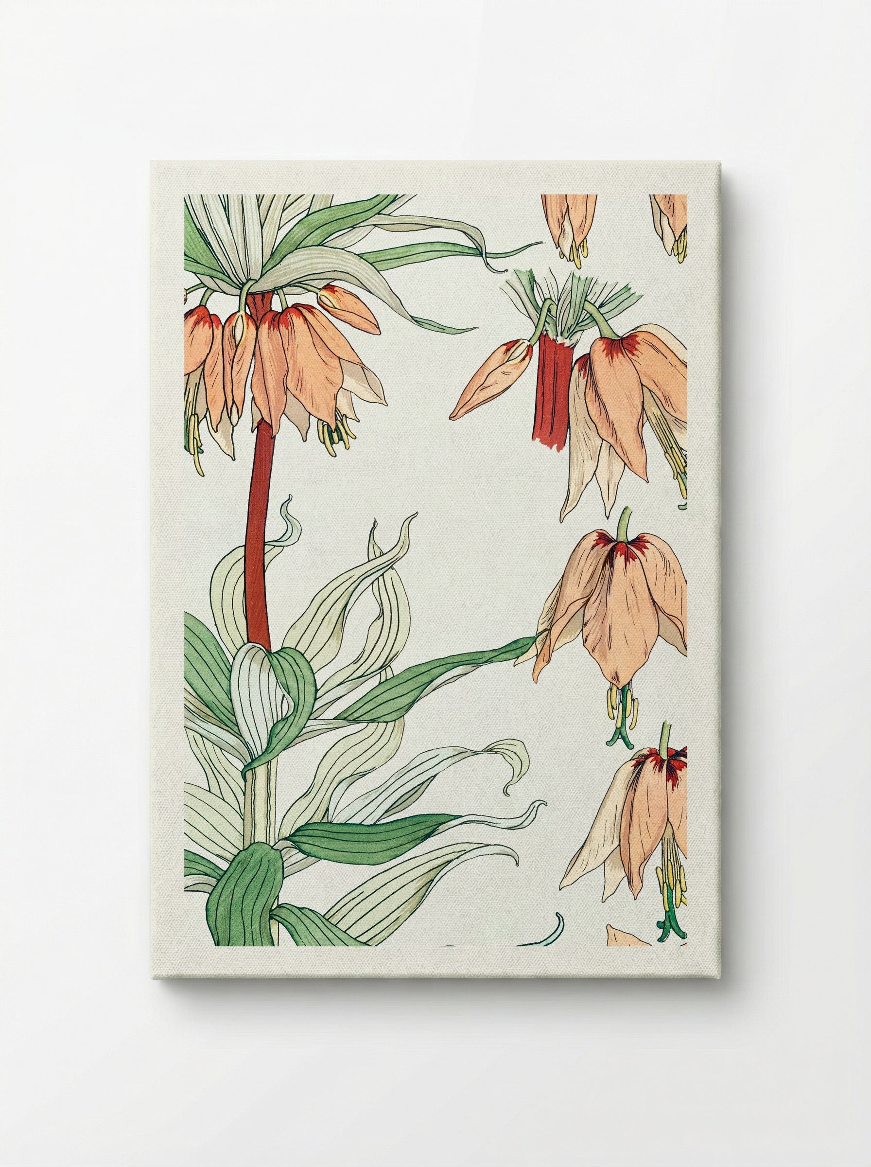 Couronne Impériale (Crown Imperial) - Maurice Pillard Verneuil - Canvas