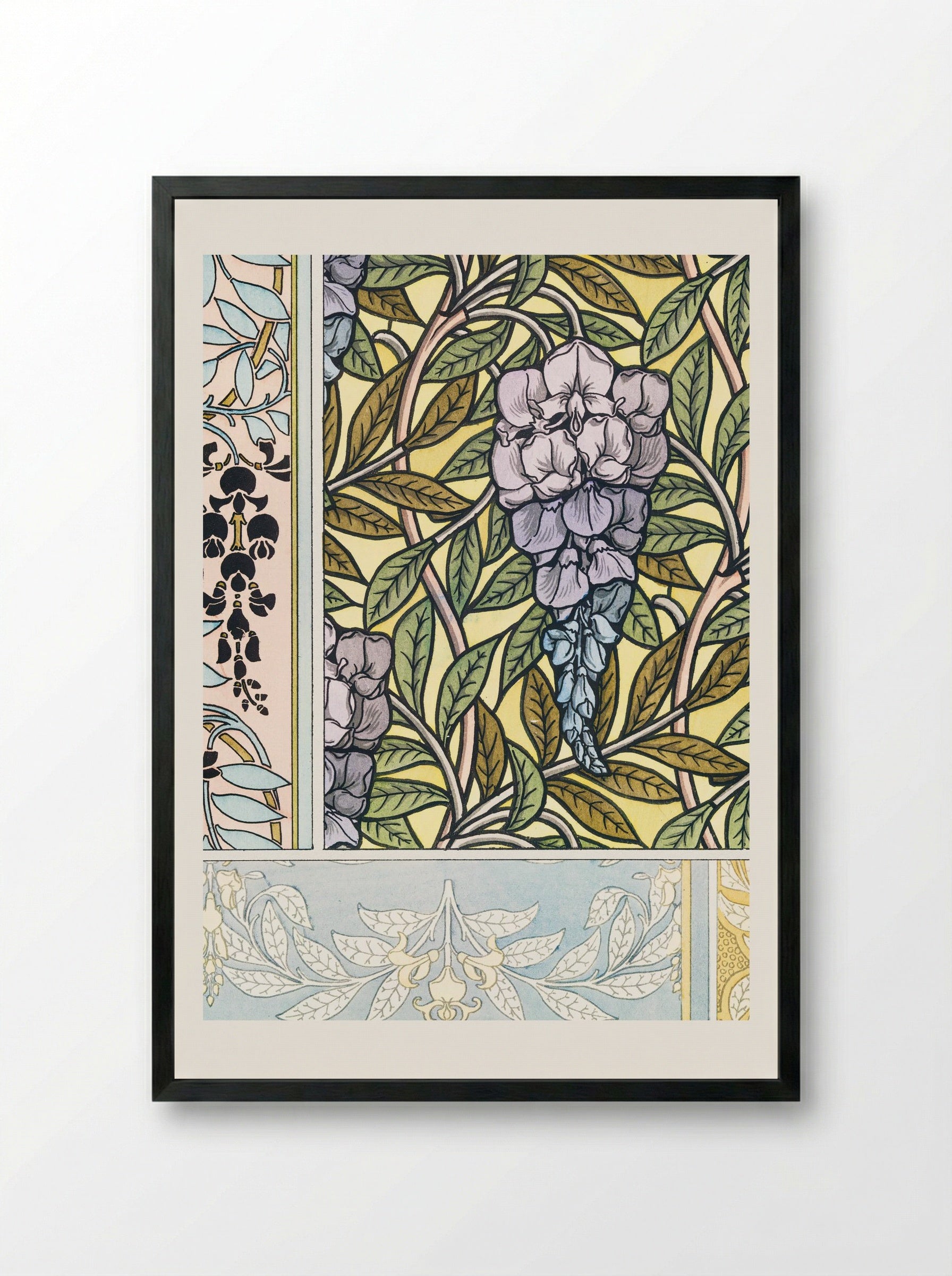 Glycine (Wisteria) from La Plante et ses Applications ornementales - Maurice Pillard Verneuil - Framed Print Black