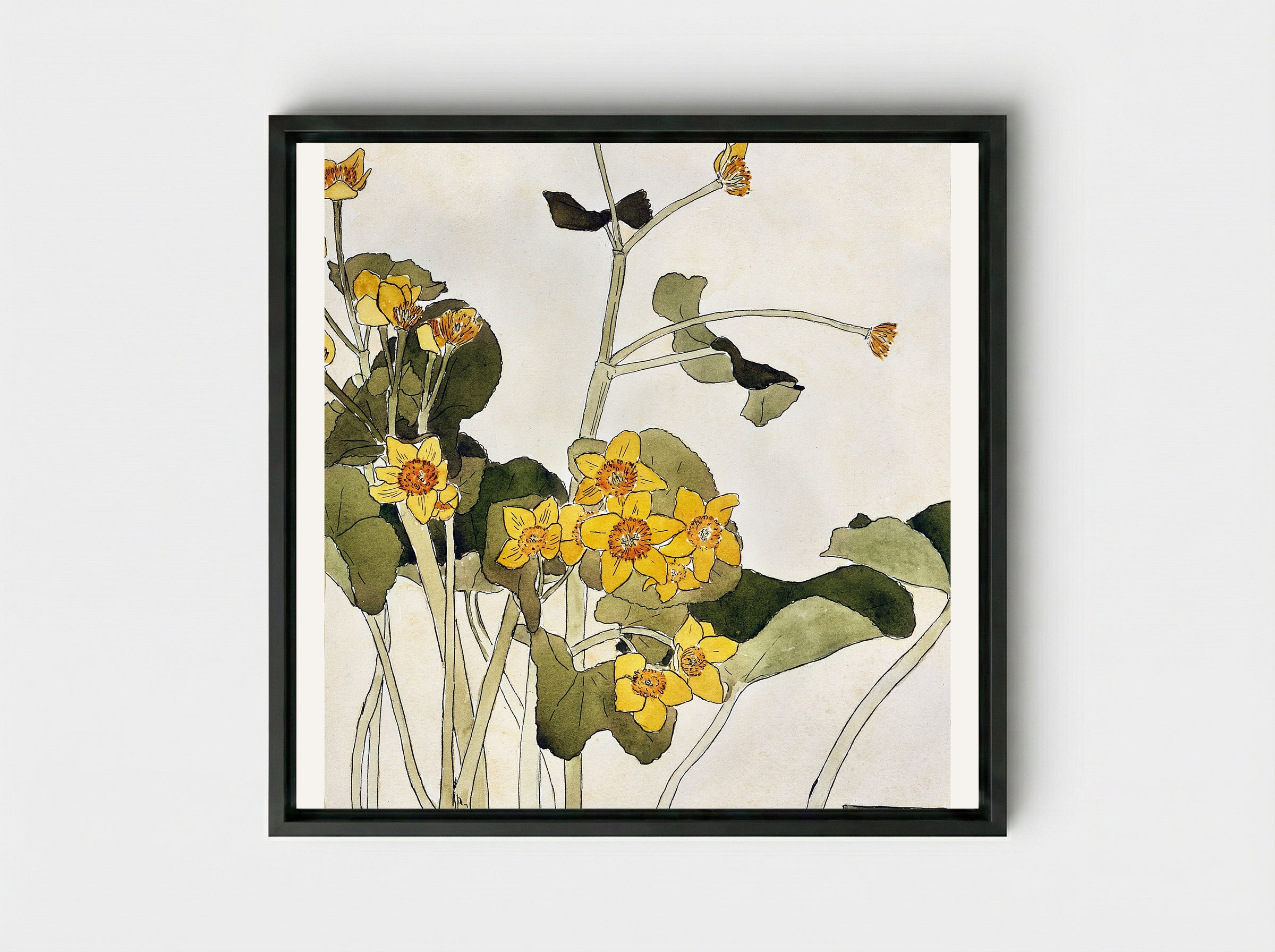 Marsh Marigold - Hannah Borger Overbeck - Framed Canvas Black