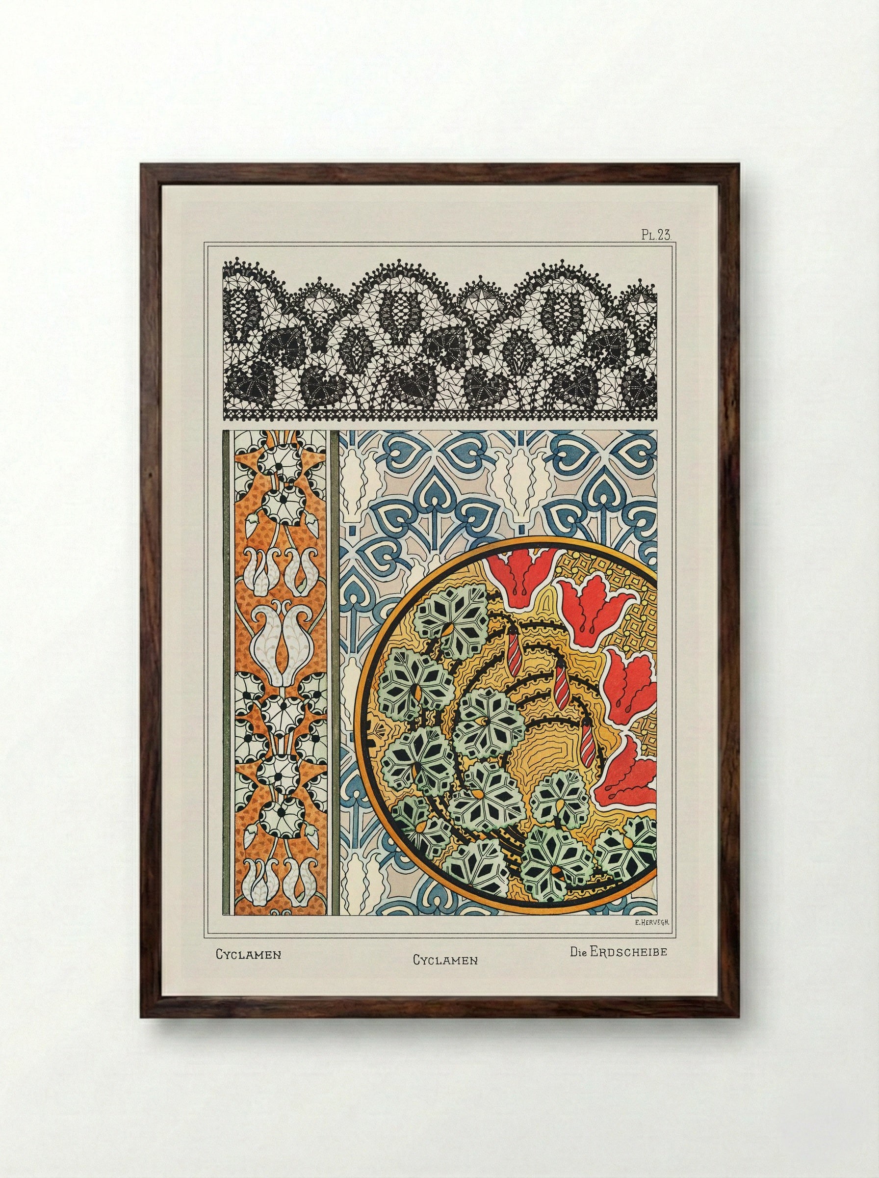 Cyclamen, from 'La Plante et ses Applications ornementales' - Maurice Pillard Verneuil - Framed Print Dark Wood