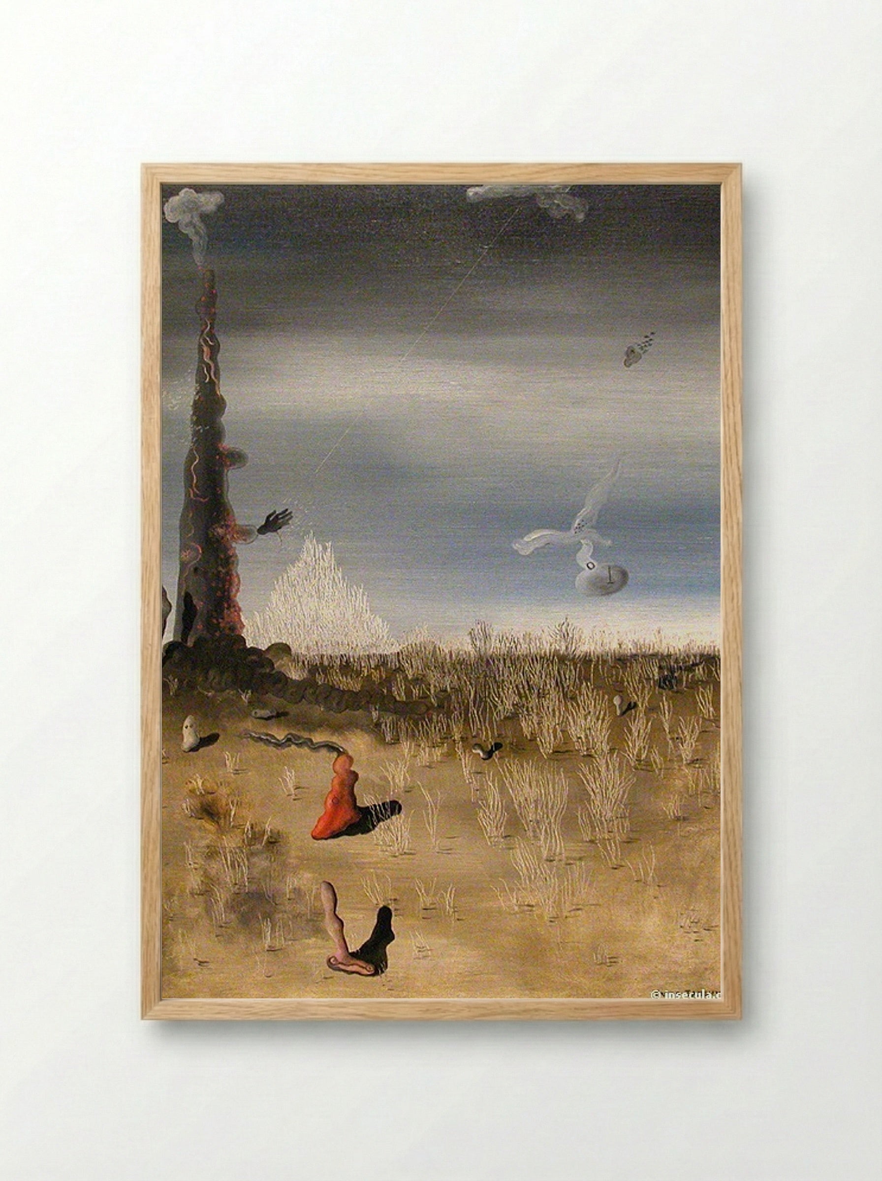 Extinction of Useless Lights - Remedios Varo - Framed Print Wood