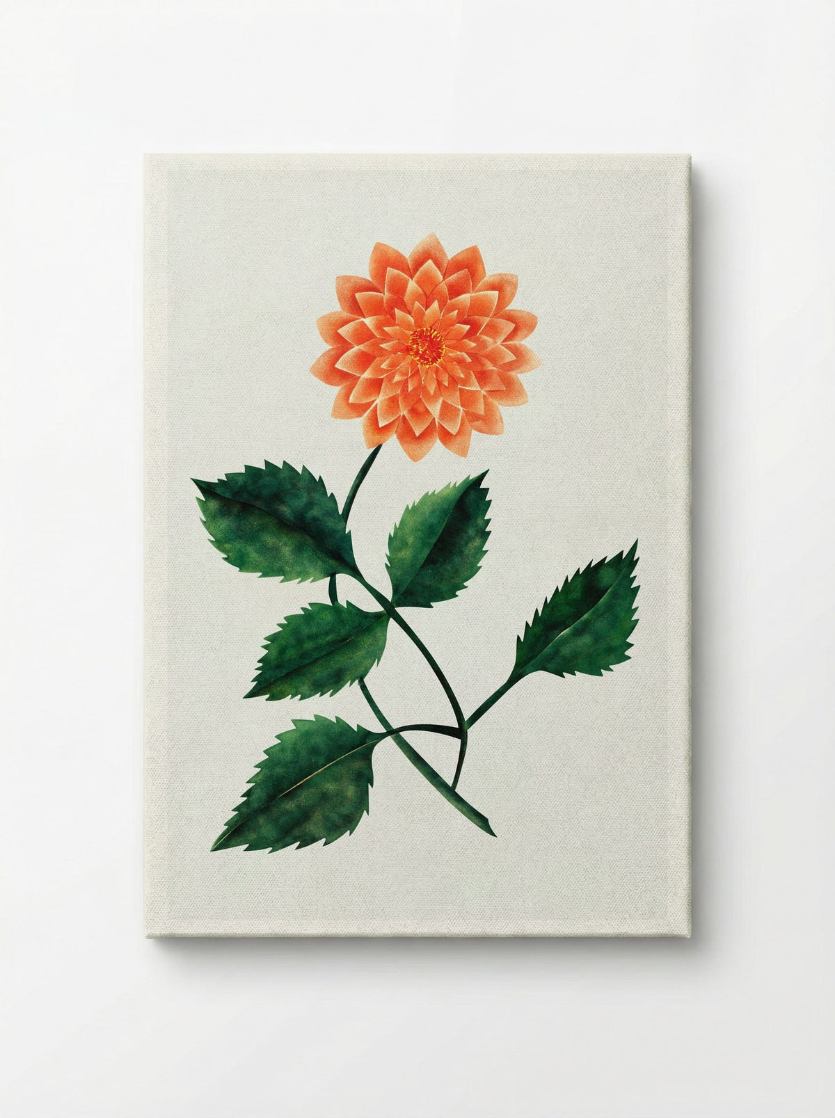 Dahlia - Mary Altha Nims - Canvas