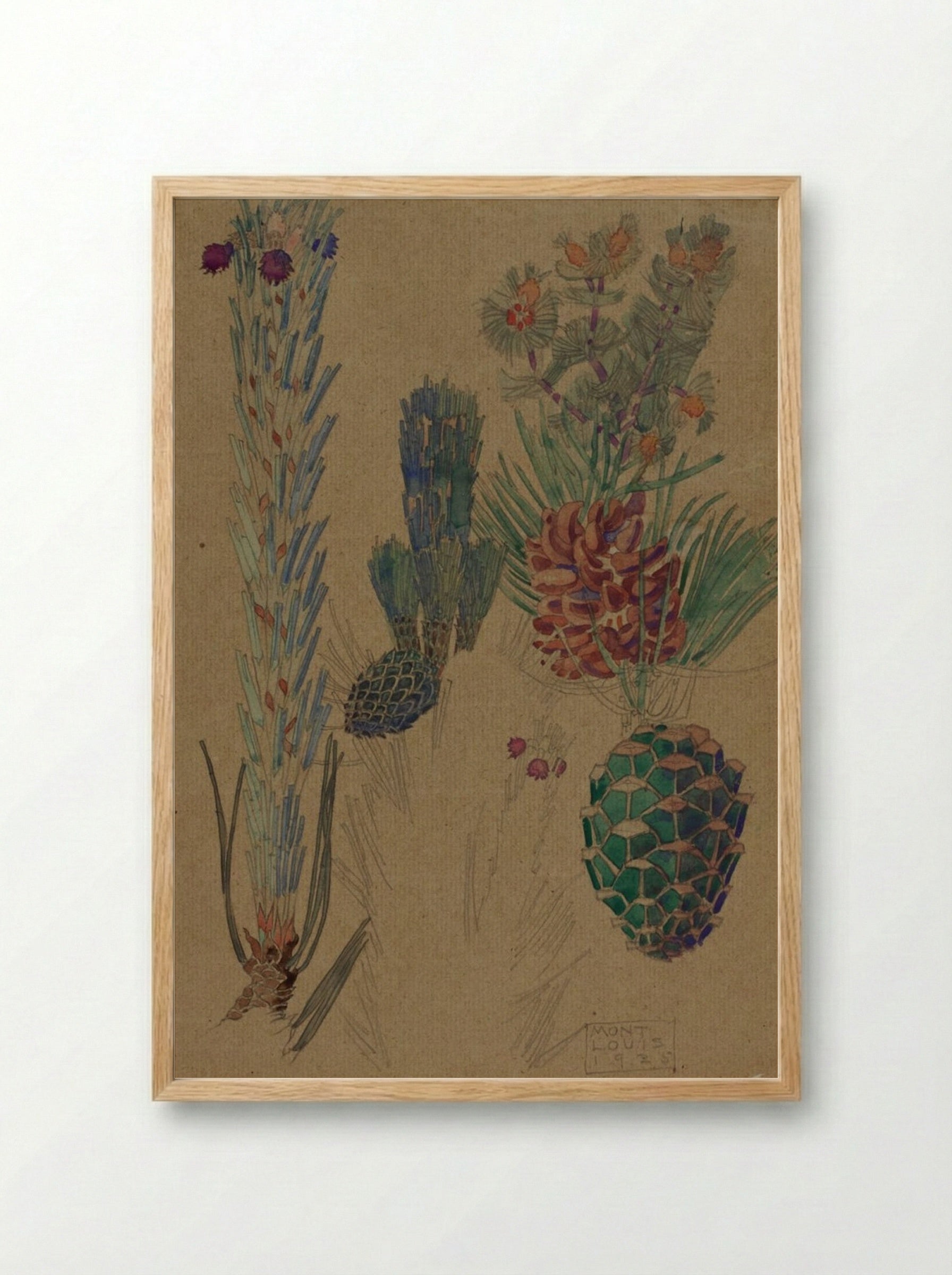 Pine Cones - Mont Louis - Framed Print Wood