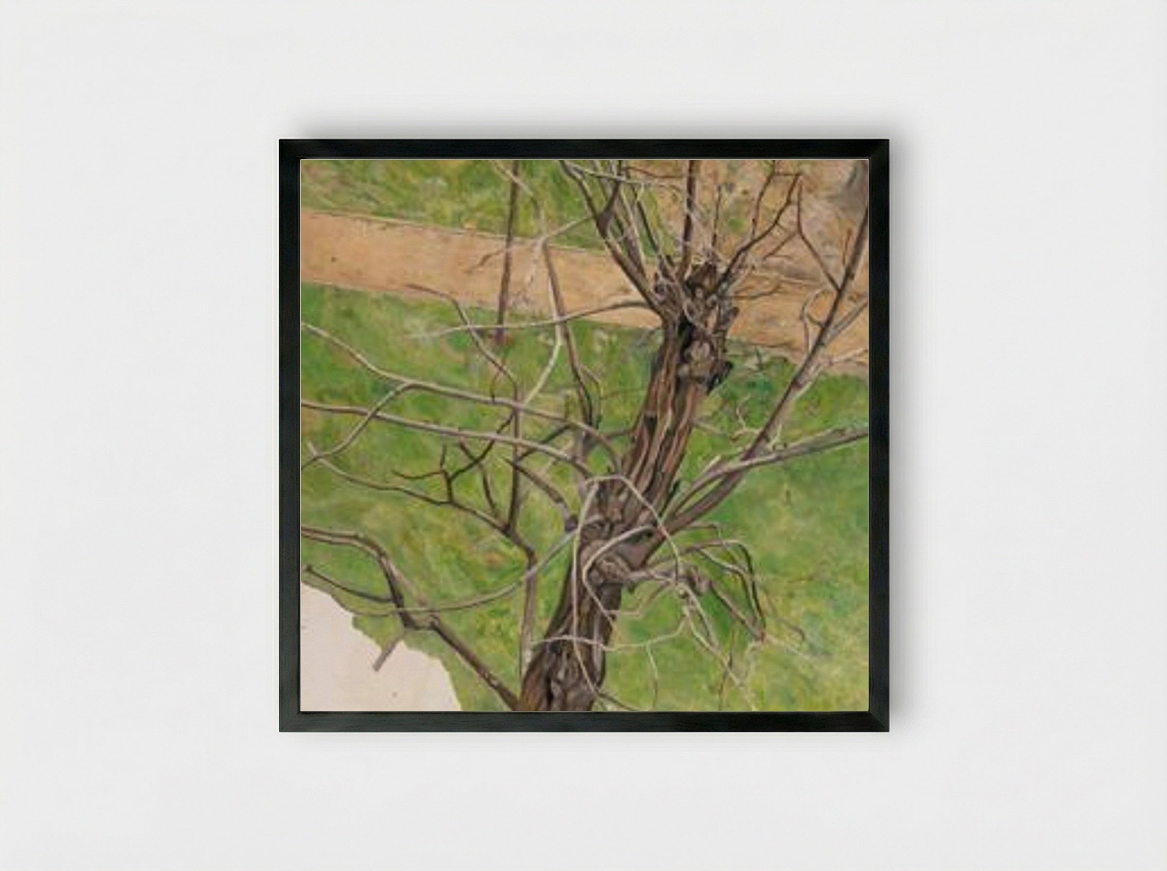 Acacia - Lucian Freud - Framed Print Black
