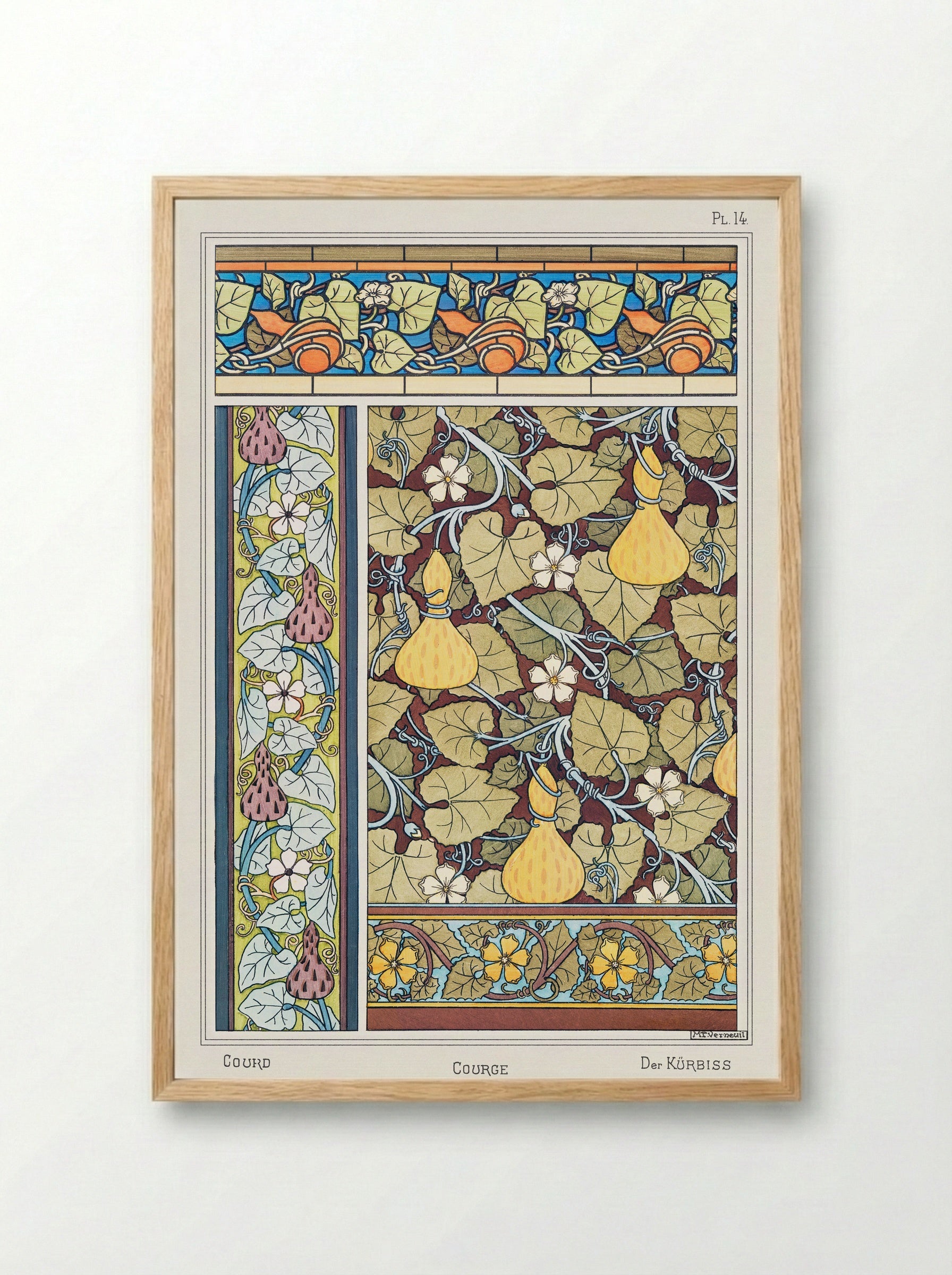 Courge (White-Flowered Gourd, Plate 14) - Maurice Pillard Verneuil - Framed Print Wood