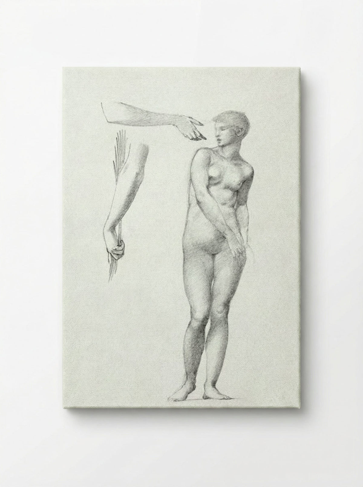 Standing Female Nude and Sketches of Arms - Edward Burne-Jones - Canvas