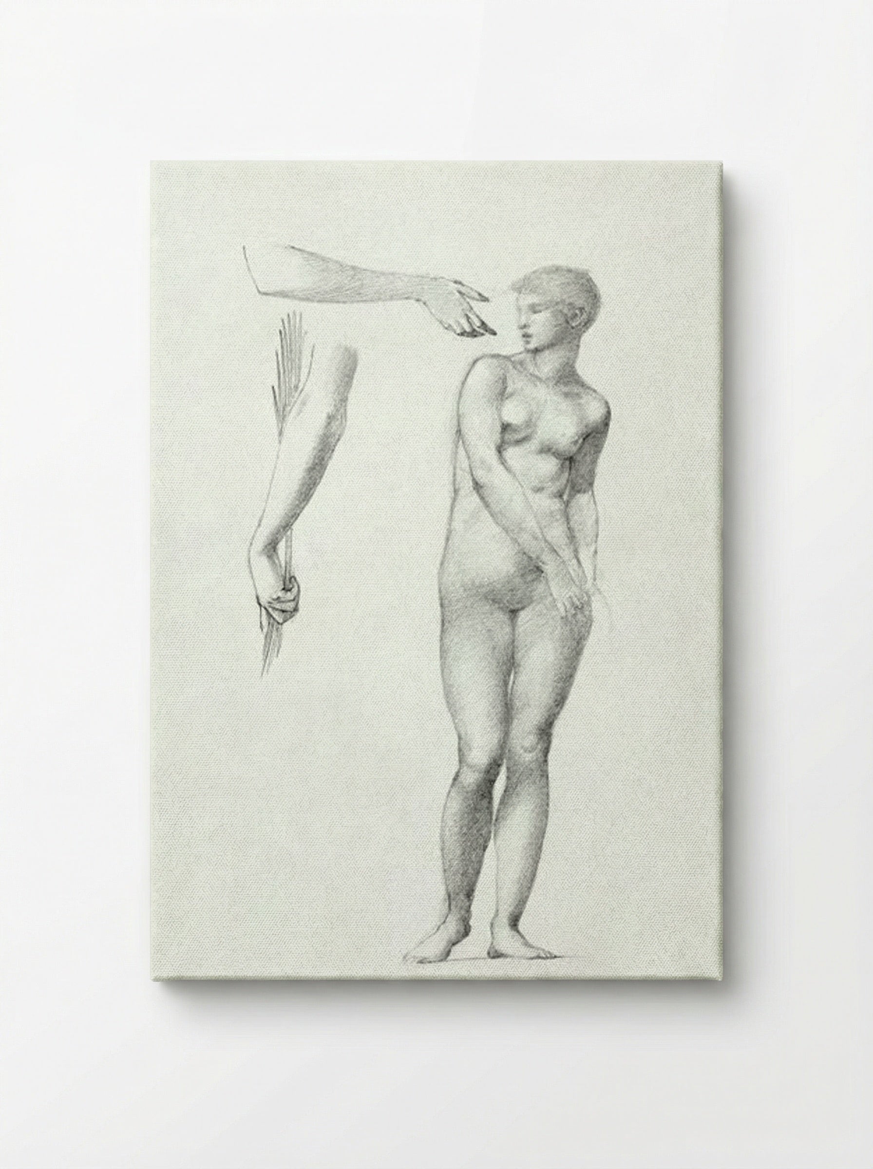 Standing Female Nude and Sketches of Arms - Edward Burne-Jones - Canvas