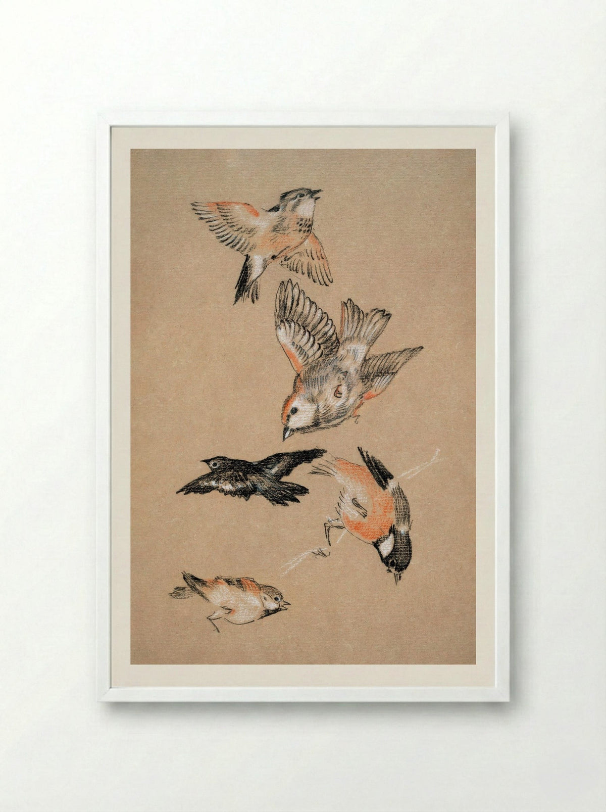 Study of Finches (for 'Love Leading the Pilgrim') - Edward Burne-Jones - Framed Print White