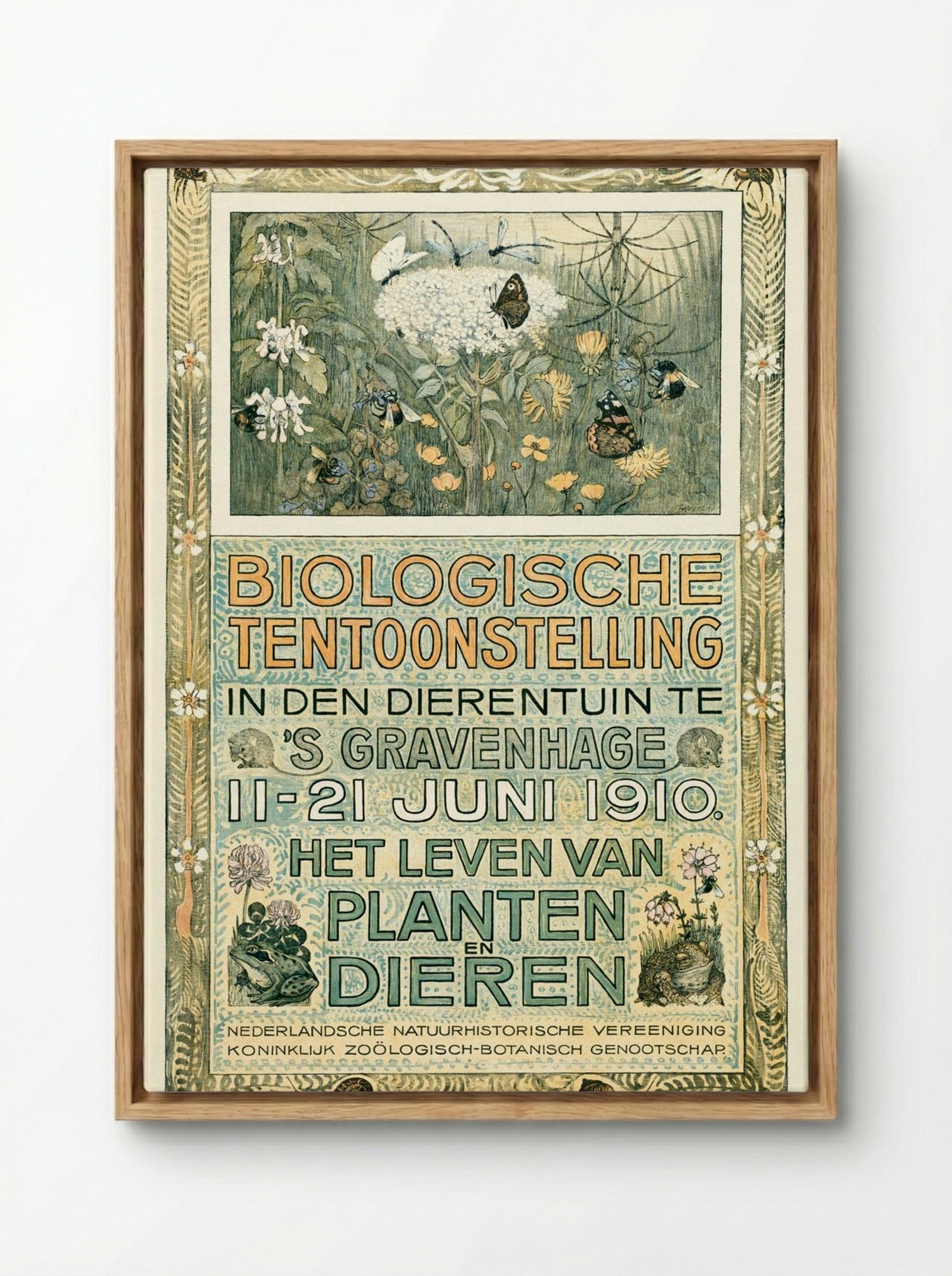 Poster of the Biologische Tentoonstelling (Biological Exhibition) - Theo van Hoytema - Framed Canvas Wood