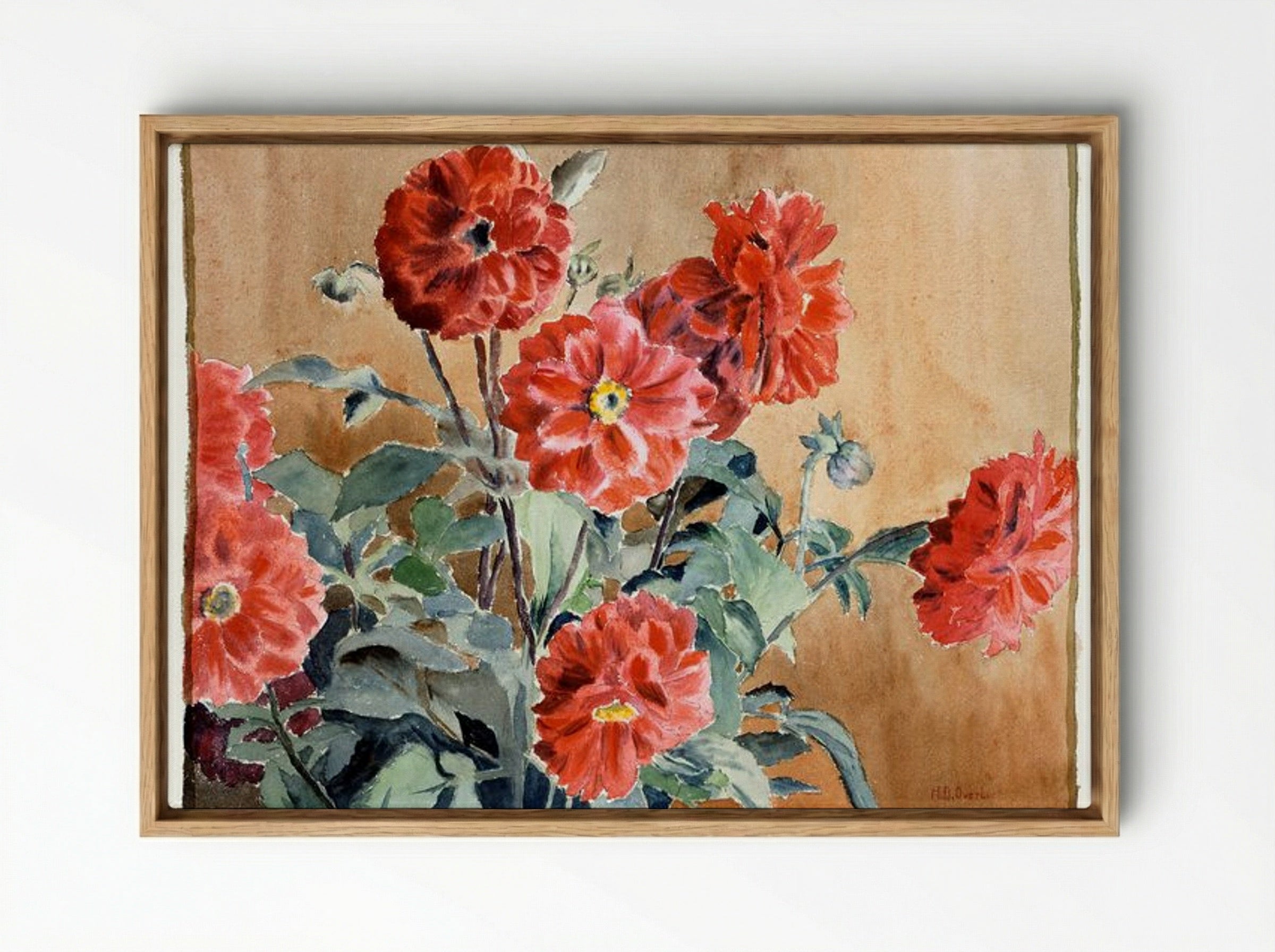 Dahlias - Hannah Borger Overbeck - Framed Canvas Wood