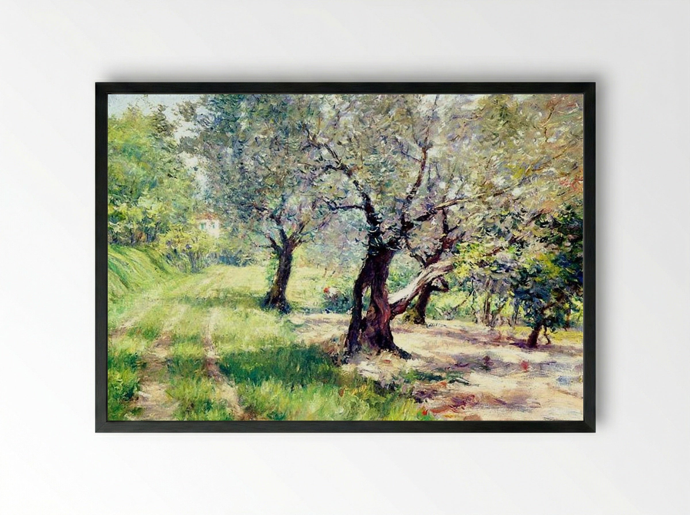 The Olive Grove - William Merritt Chase - Framed Print Black