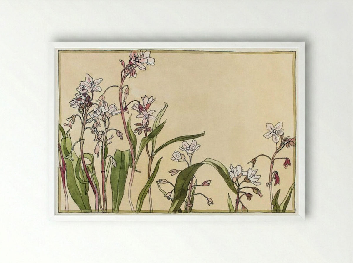 Spring Beauty - Hannah Borger Overbeck - Framed Print White