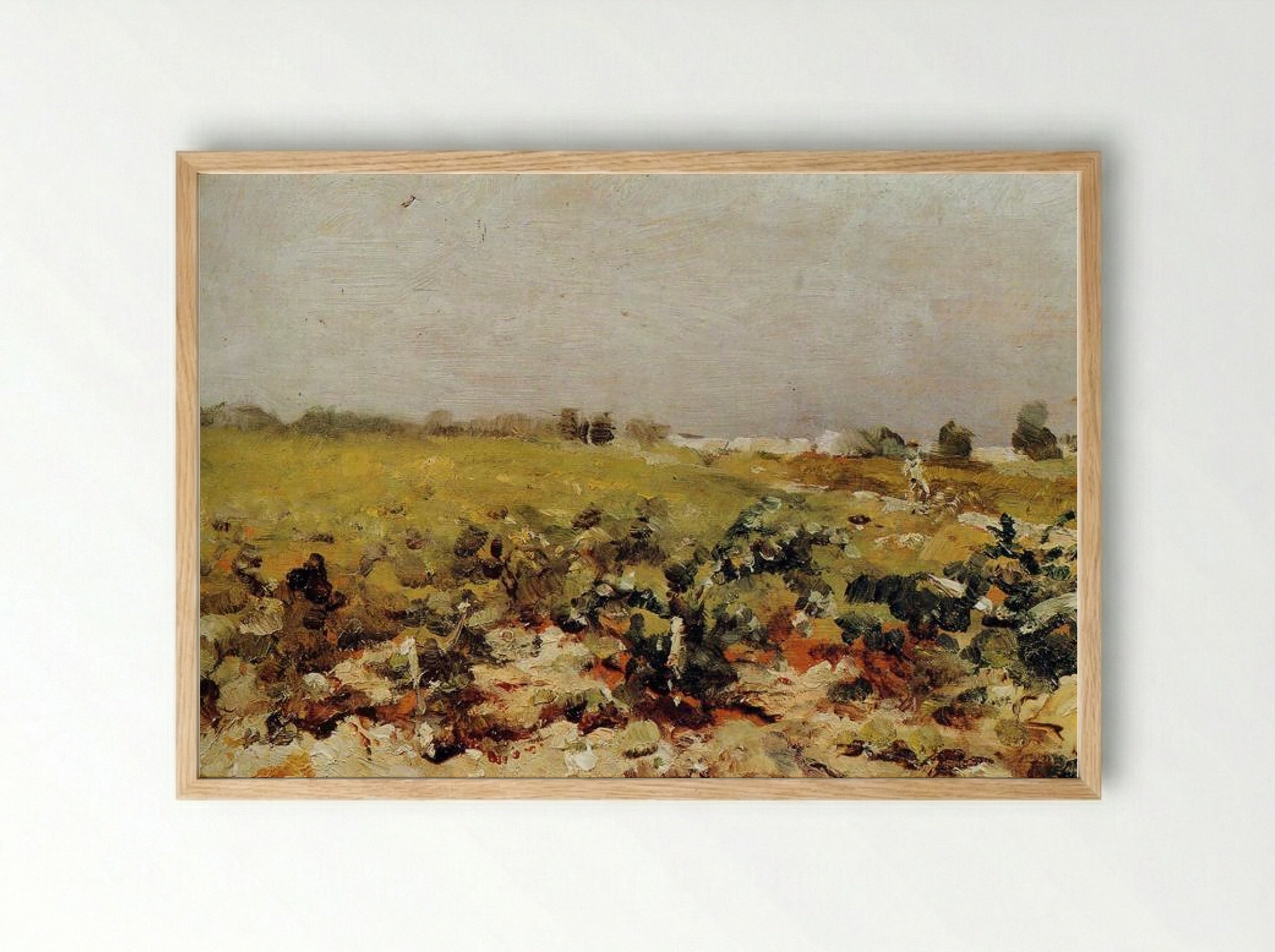 Céleyran, View of the Vineyards - Henri de Toulouse-Lautrec - Framed Print Wood