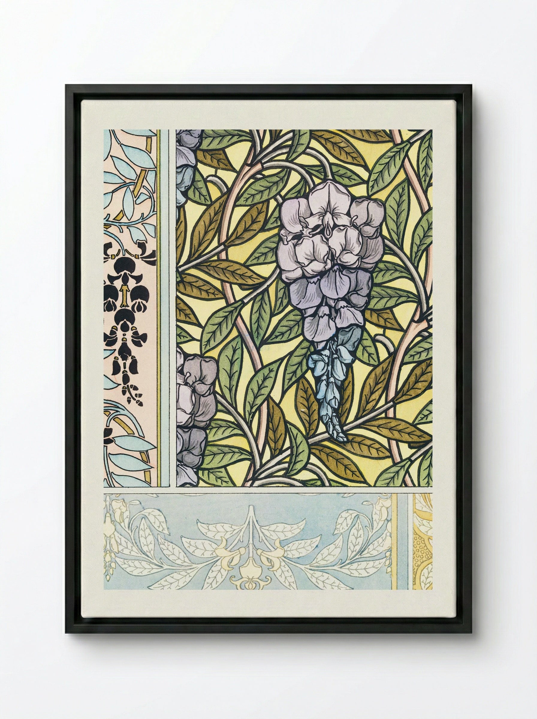 Glycine (Wisteria) from La Plante et ses Applications ornementales - Maurice Pillard Verneuil - Framed Canvas Black