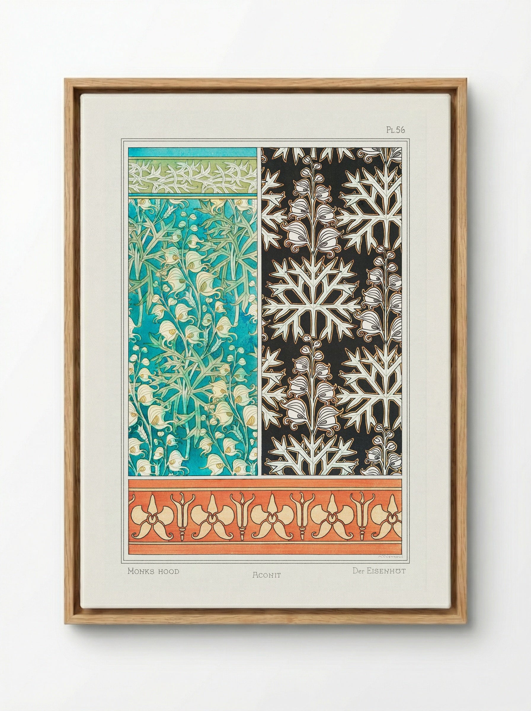 Aconite (Monkshood) - Maurice Pillard Verneuil - Framed Canvas Wood