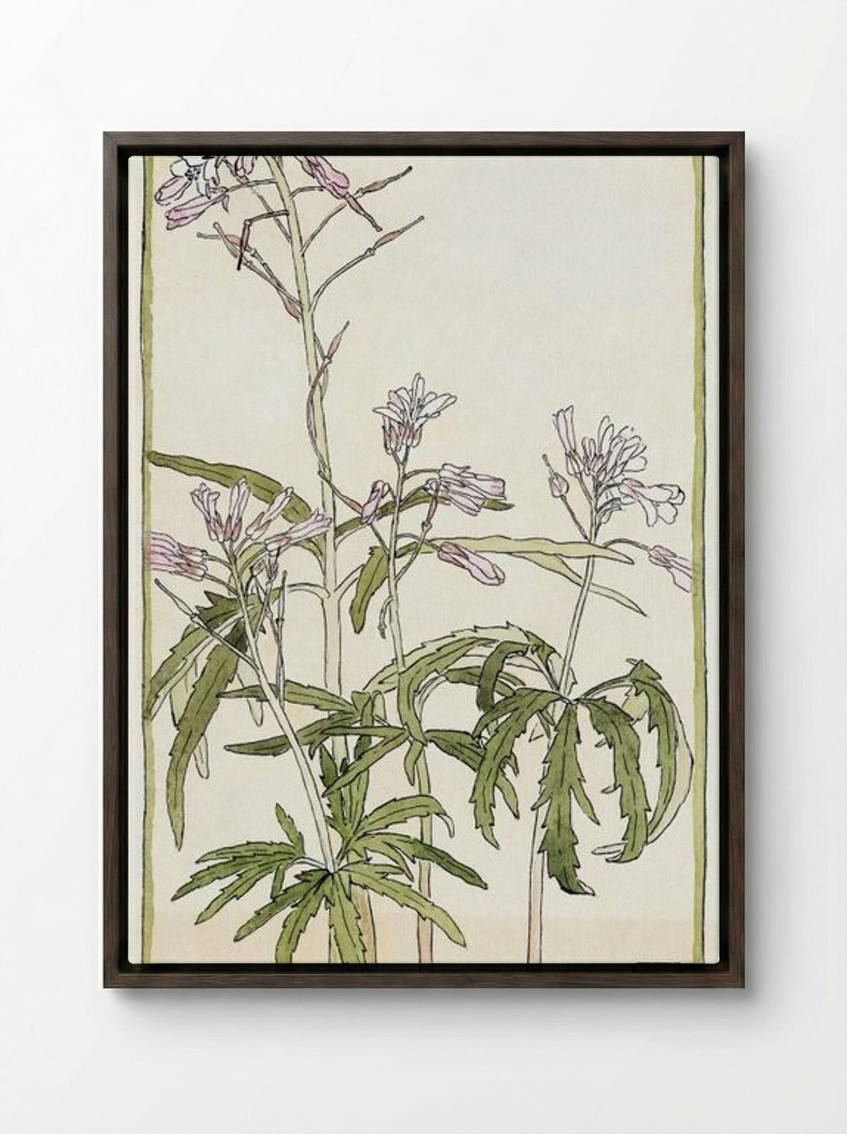 Pink Flowers with Spiky Green Leaves - Hannah Borger Overbeck - Framed Canvas Dark Wood