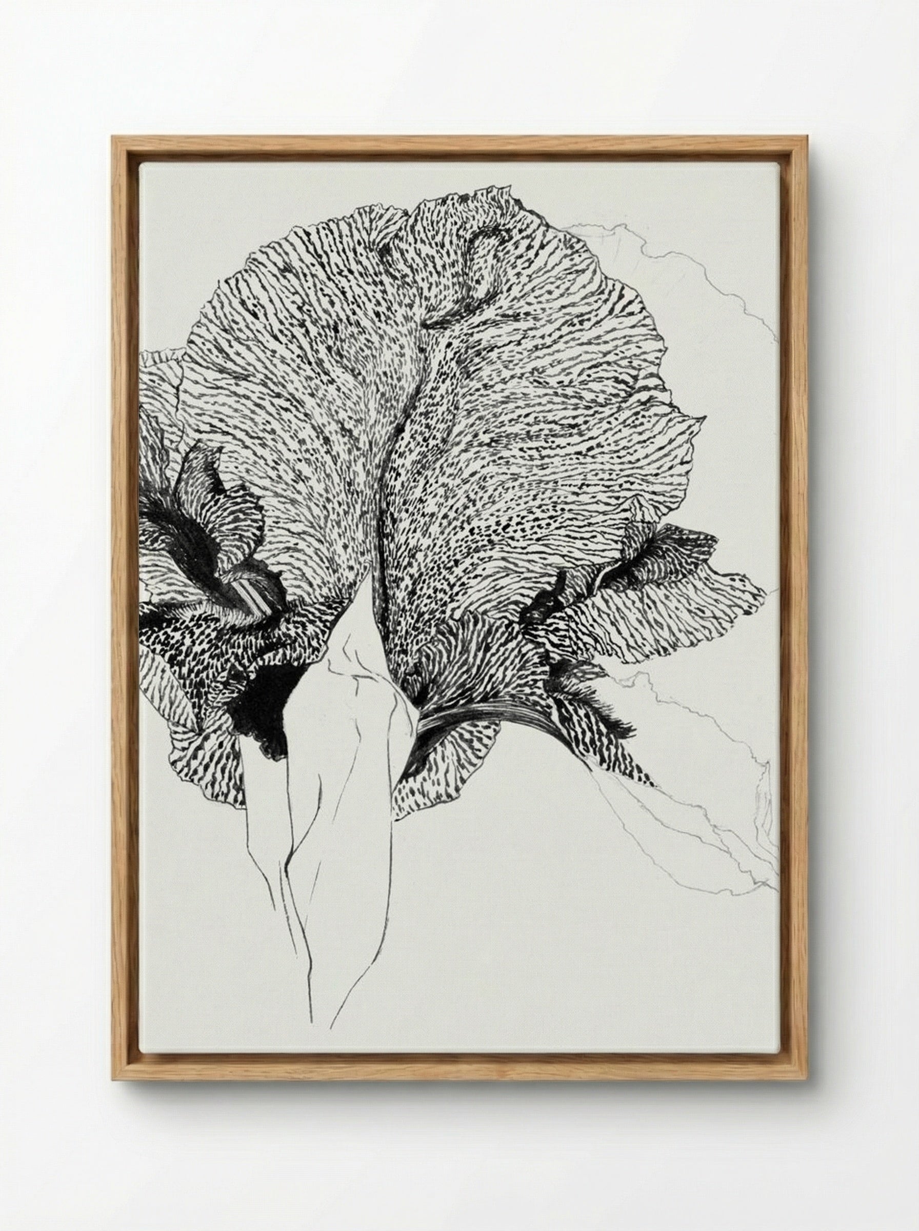 Iris - Julie de Graag - Framed Canvas Wood
