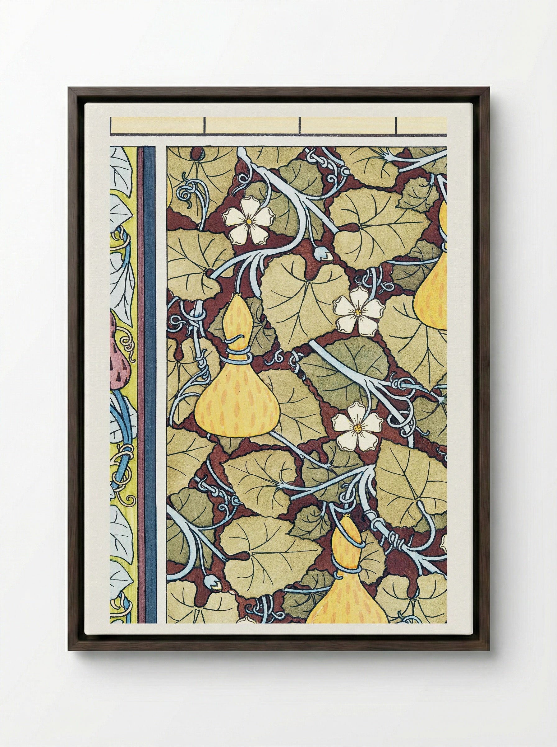 Courge (White-Flowered Gourd, from La Plante et ses Applications ornementales) - Maurice Pillard Verneuil - Framed Canvas Dark Wood