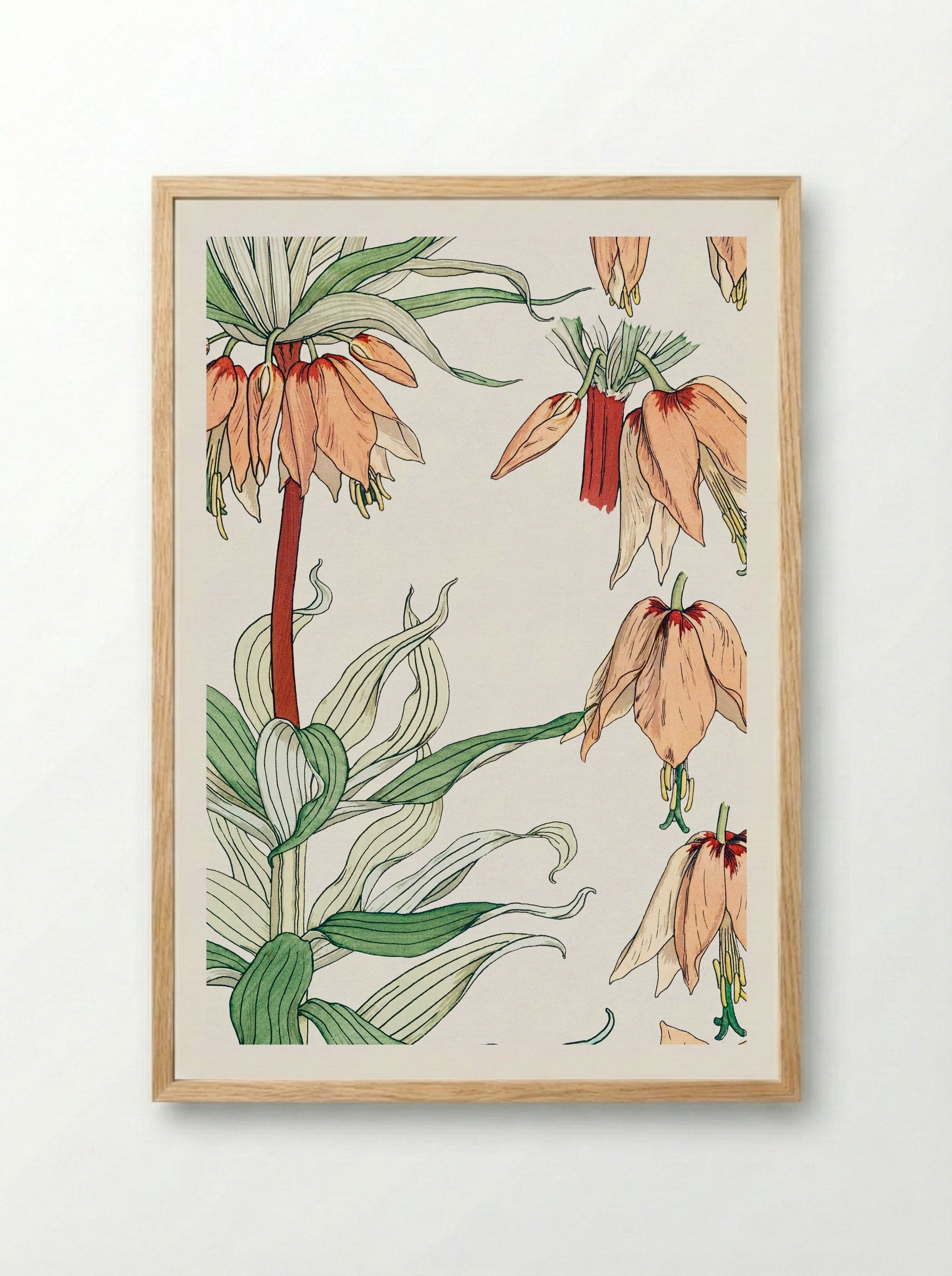 Couronne Impériale (Crown Imperial) - Maurice Pillard Verneuil - Framed Print Wood