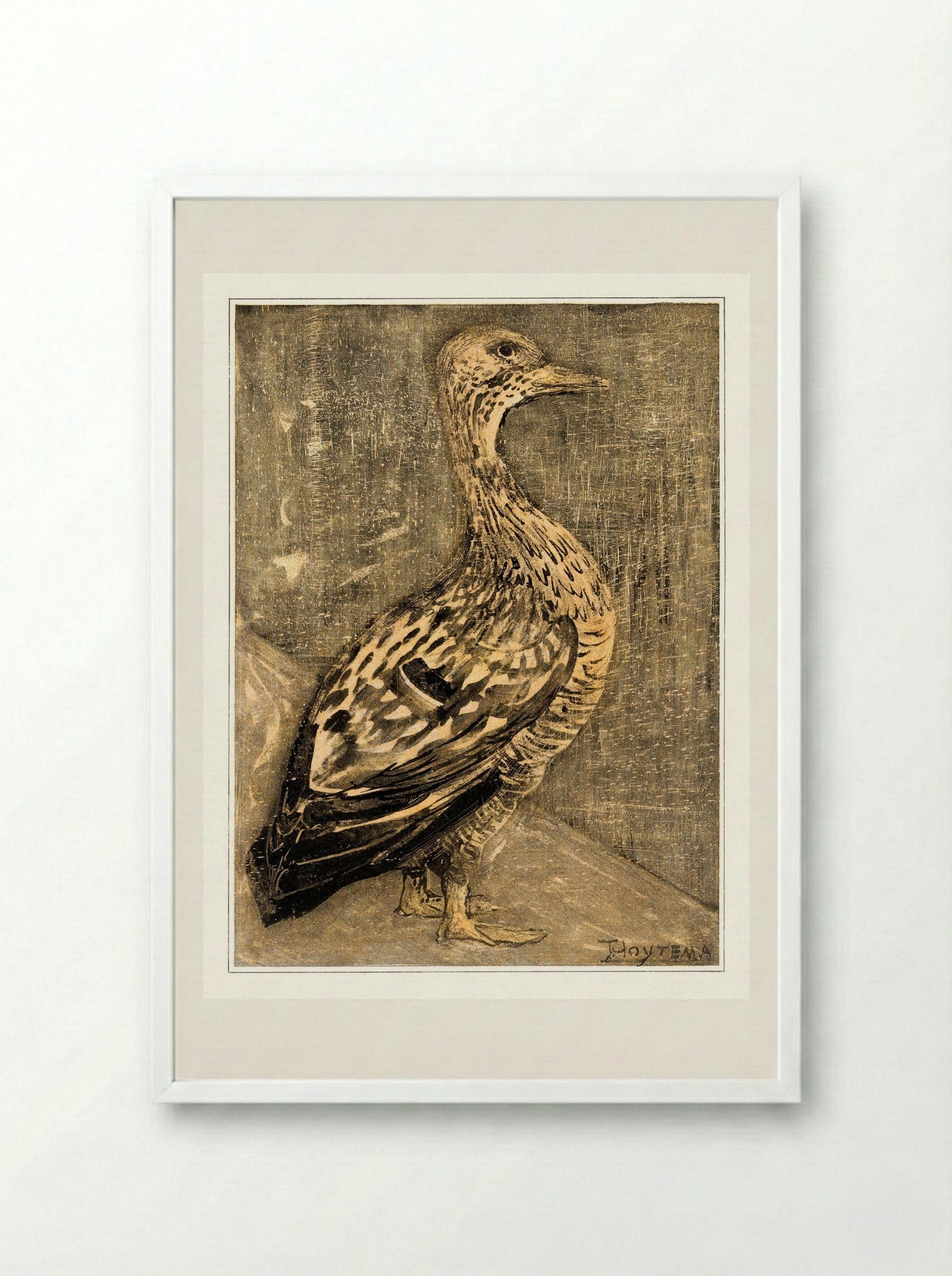 Standing Duck - Theo van Hoytema - Framed Print White