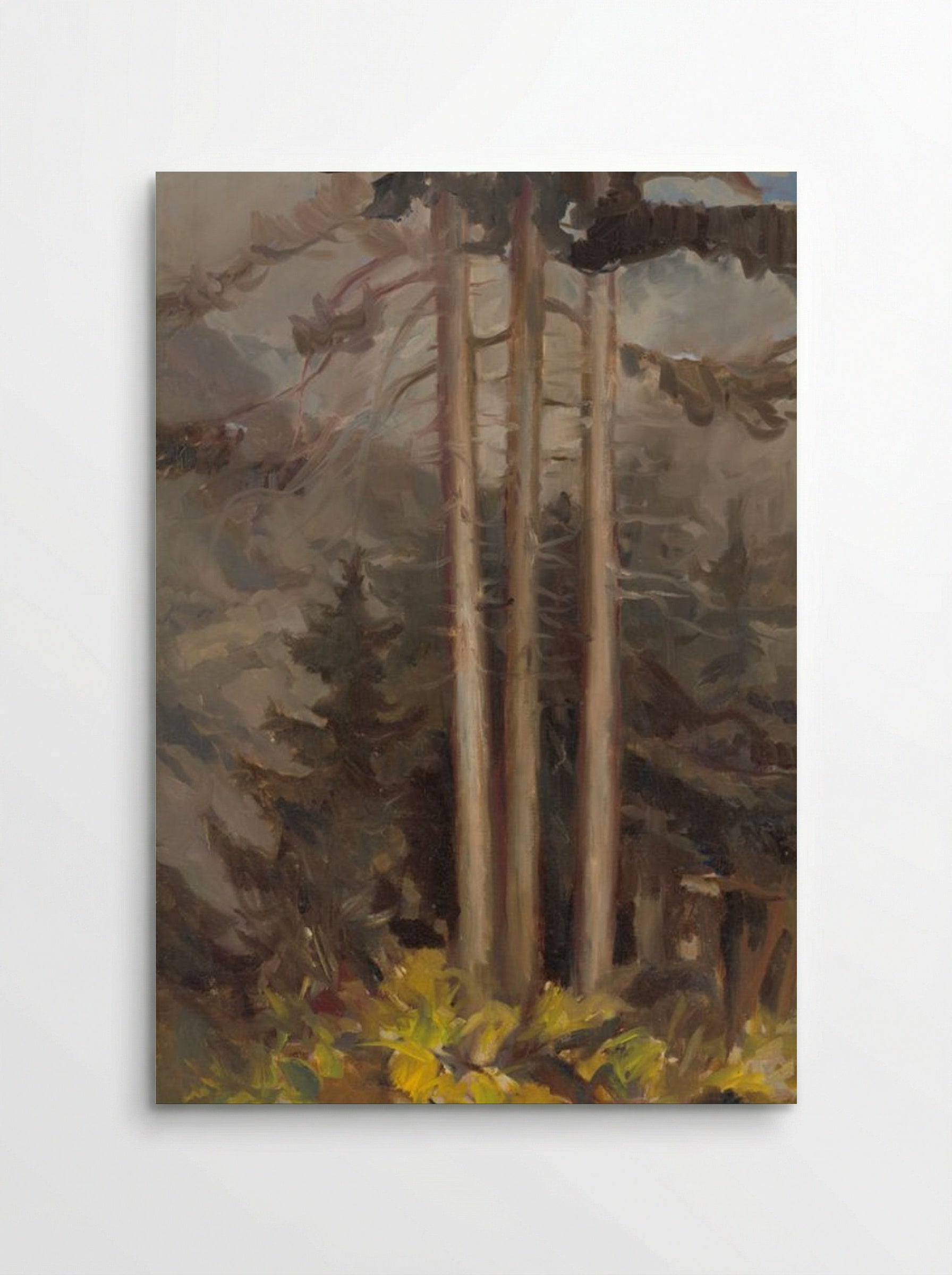 Spruce - Zolo Palugyay - Poster
