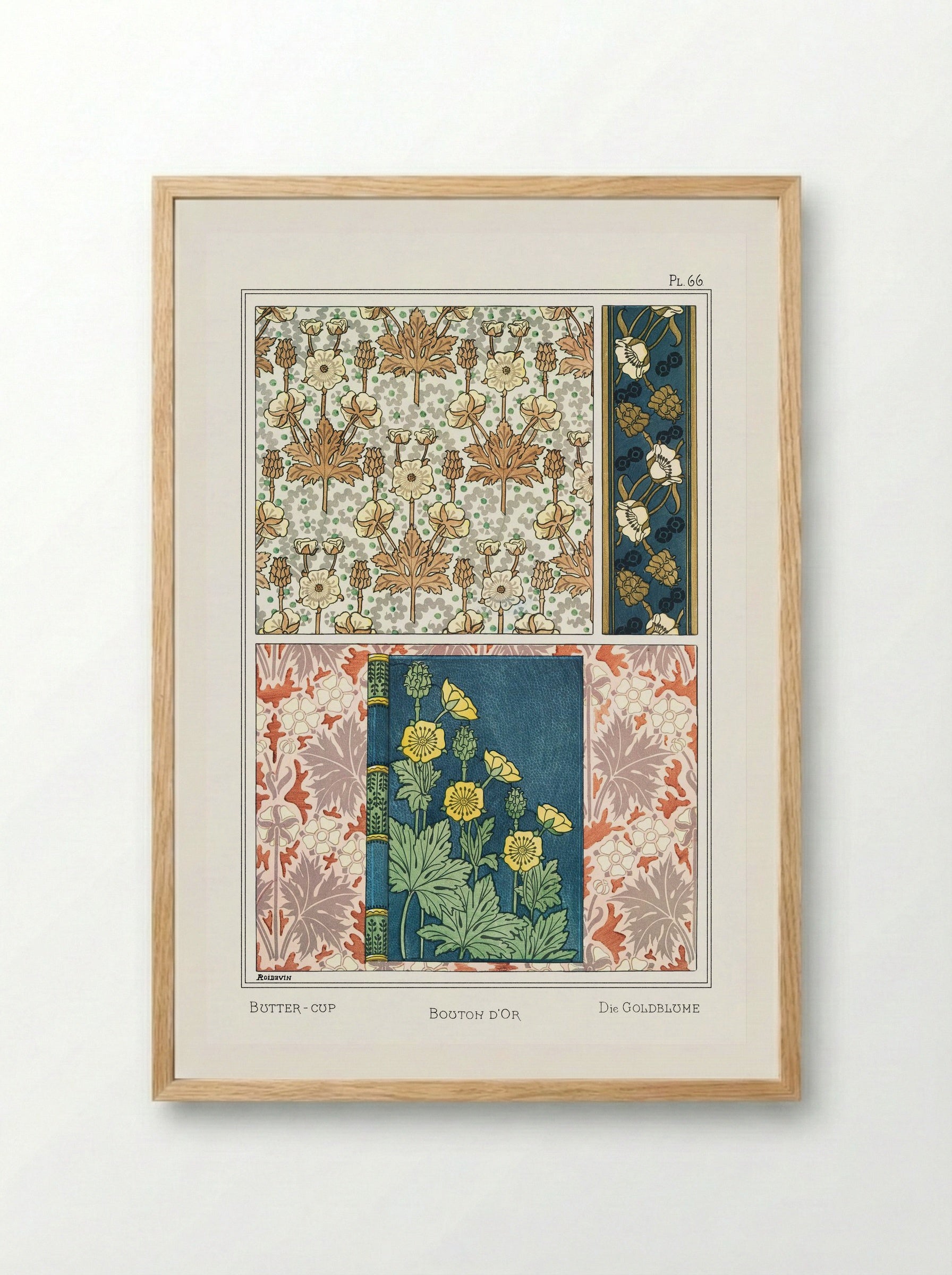 Bouton d'Or (Buttercup) from La Plante et ses Applications ornementales - Maurice Pillard Verneuil - Framed Print Wood