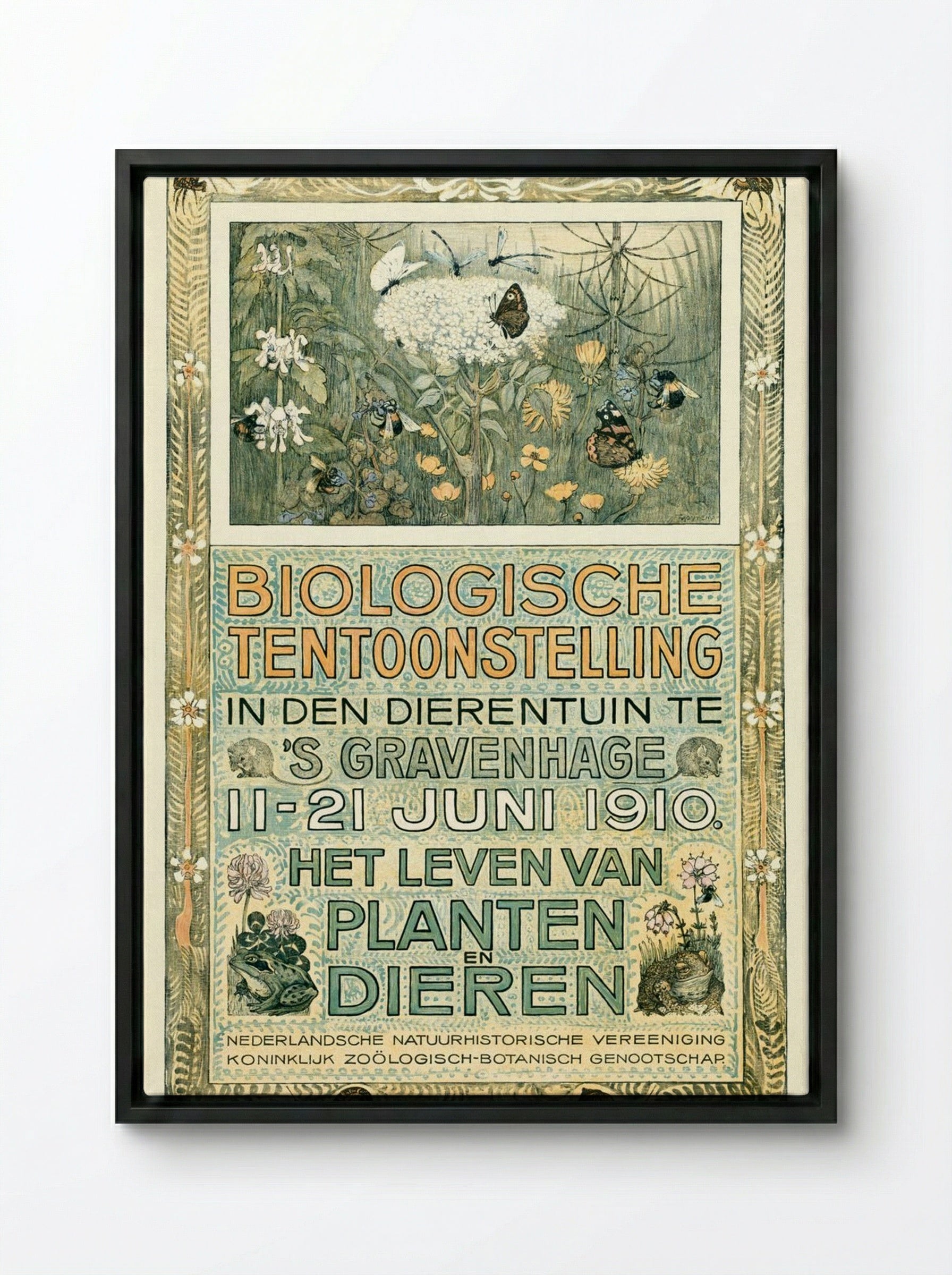 Poster of the Biologische Tentoonstelling (Biological Exhibition) - Theo van Hoytema - Framed Canvas Black