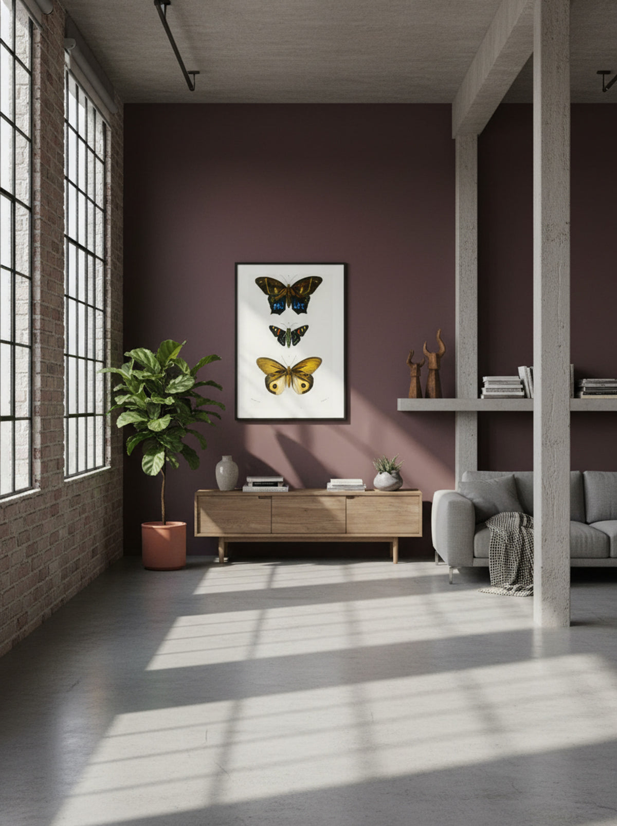 Different Types of Butterfly - Charles Dessalines D'Orbigny - Lifestyle
