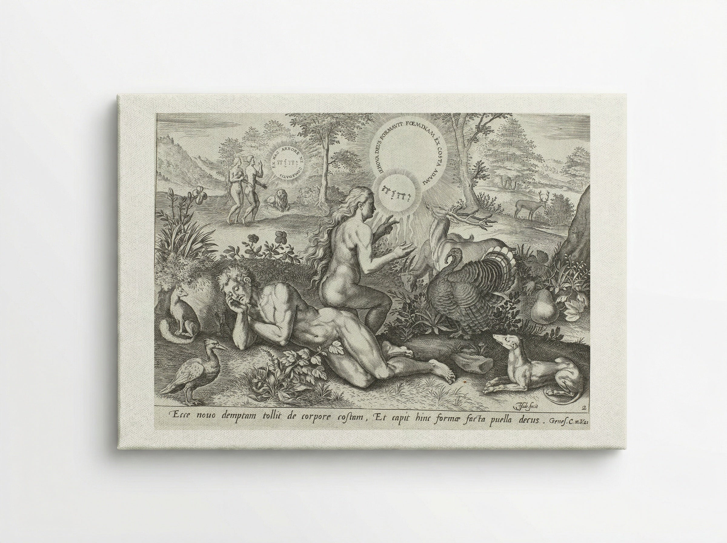The Creation of Eve - Claes Jansz. Visscher (II) - Canvas