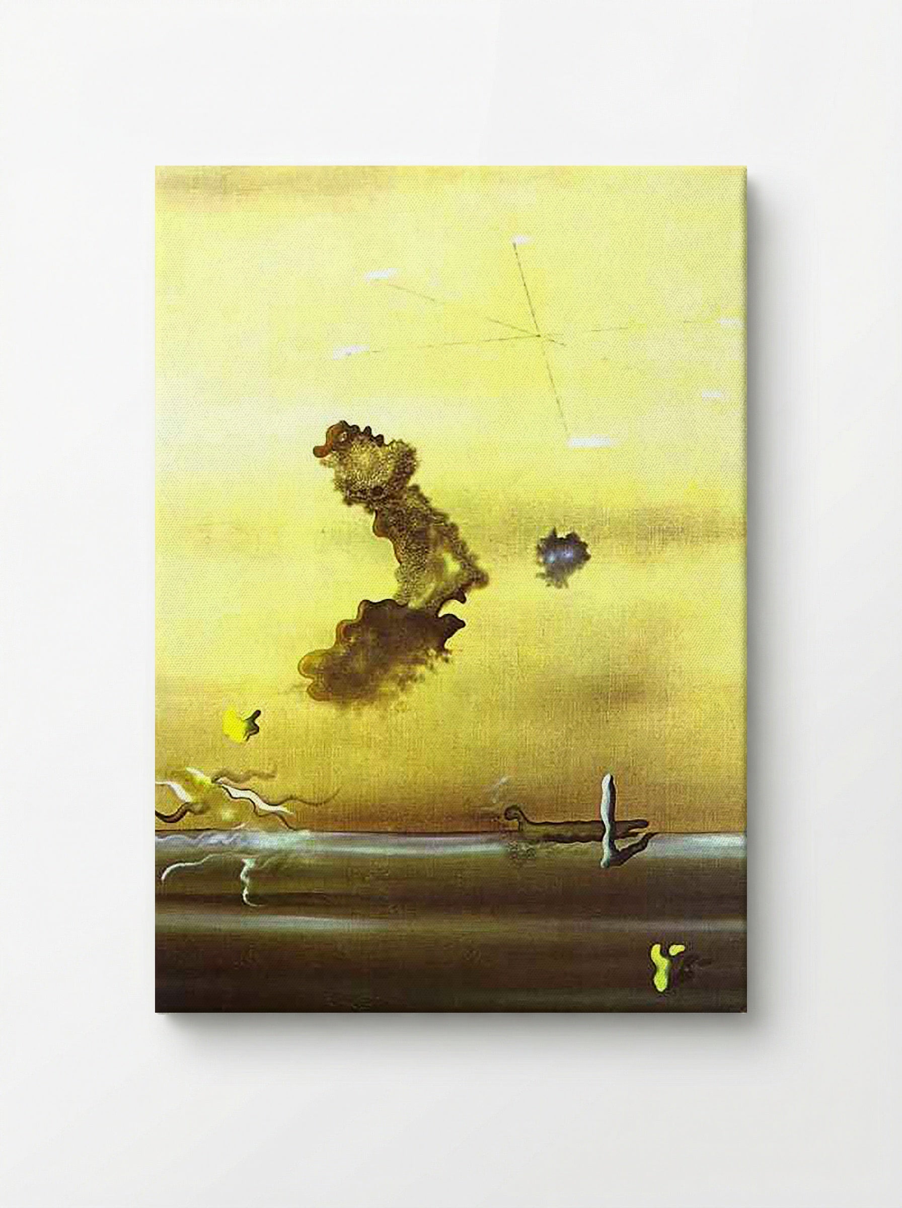 Outside - Salvador Dalí - Canvas