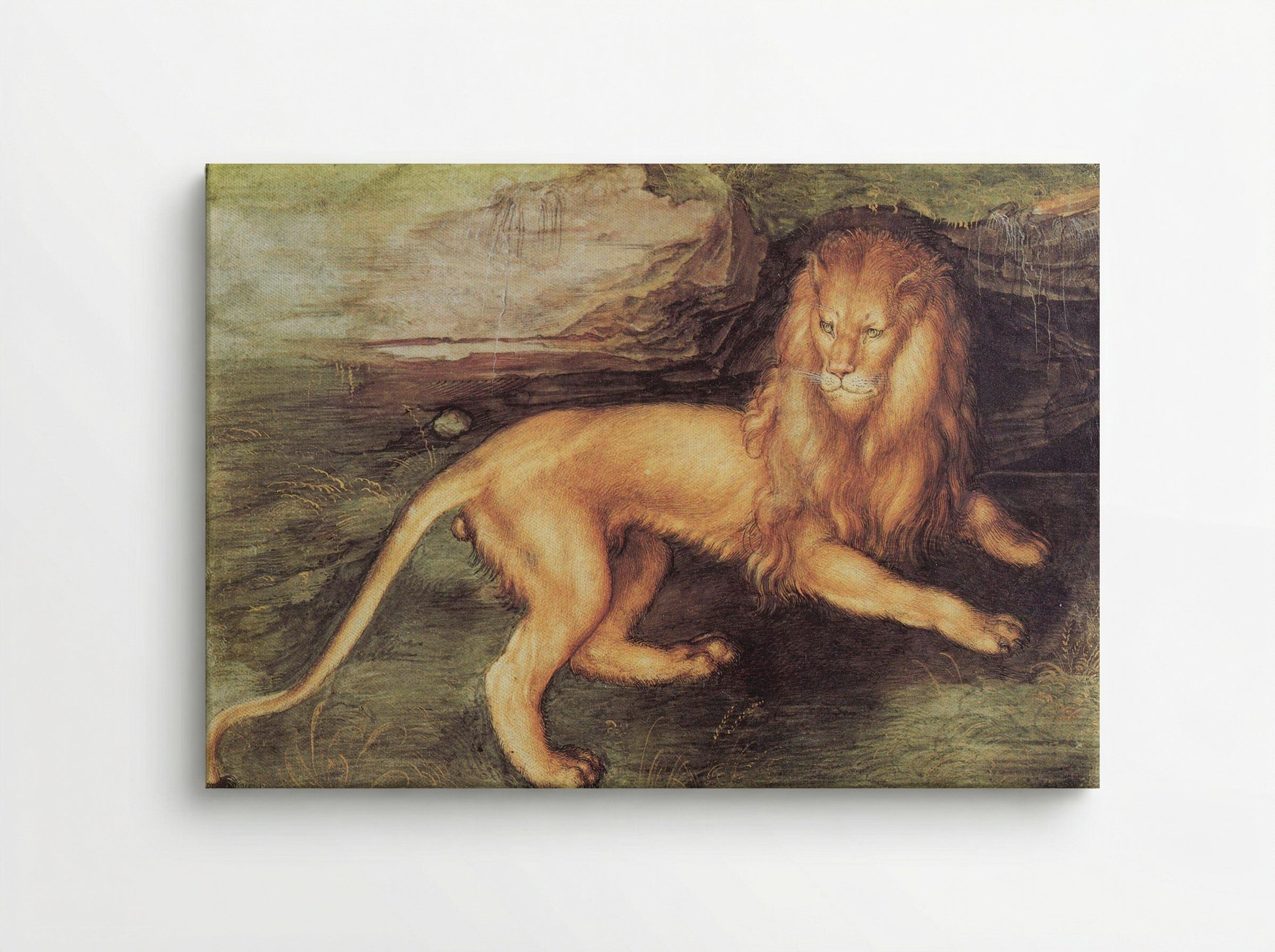 Study of a Lion - Leonardo da Vinci - Canvas
