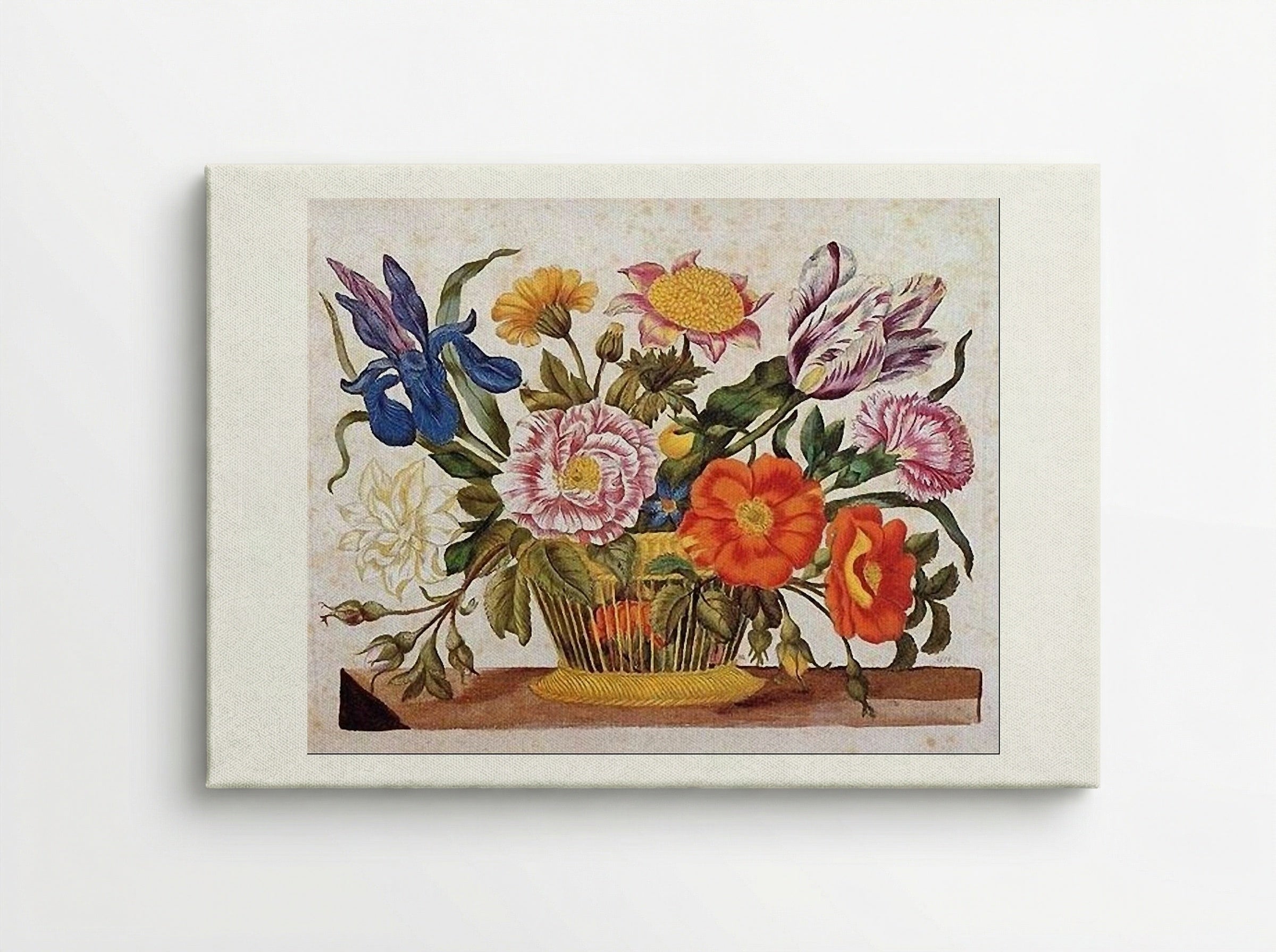 from Der Raupen wunderbare Verwandlung und sonderbare Blumennahrung, Plate CLXIX - Maria Sibylla Merian - Canvas